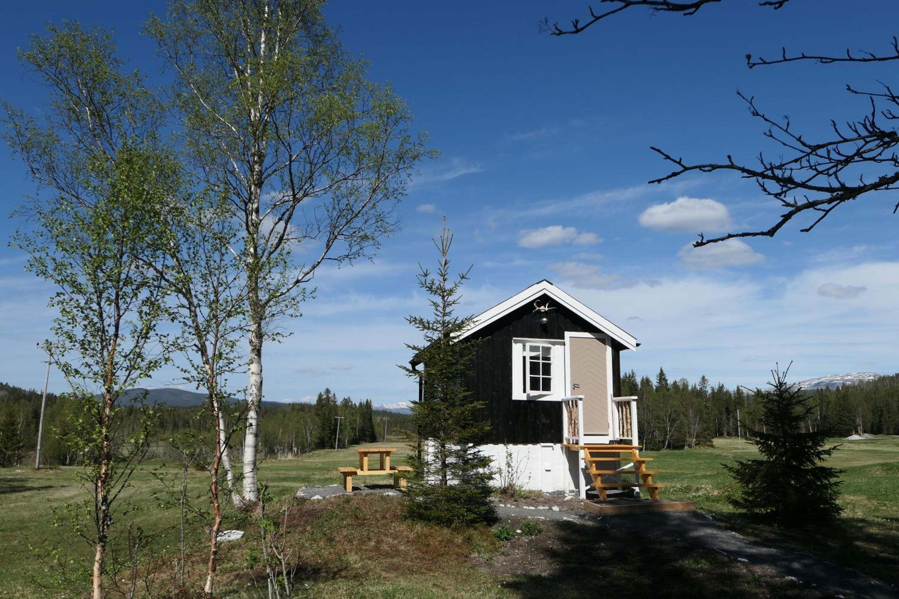 Photo 21