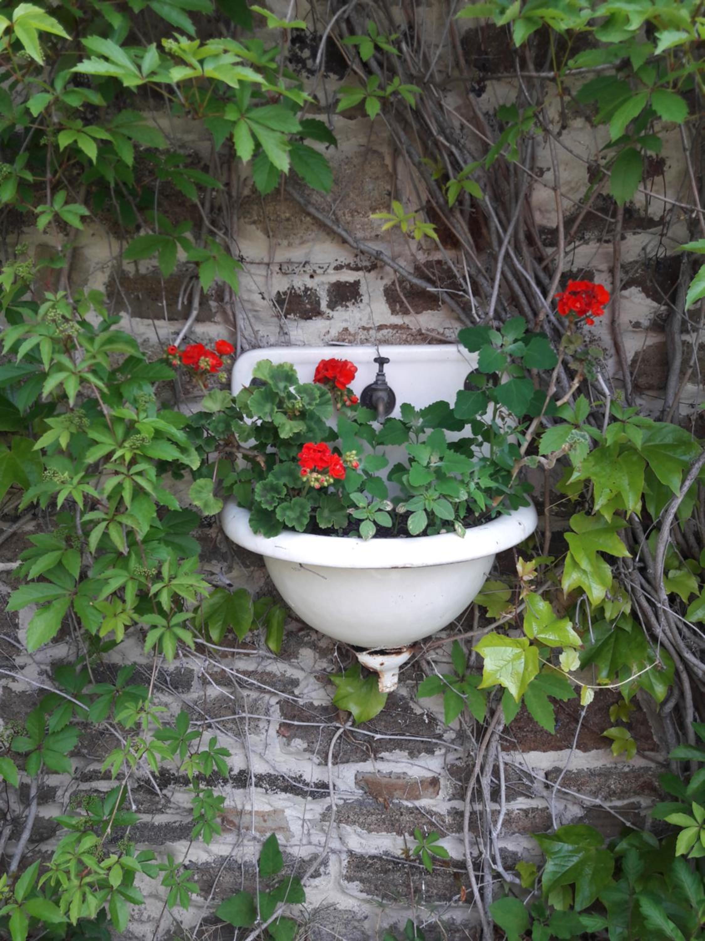Babamúzeum kis apartman view 5