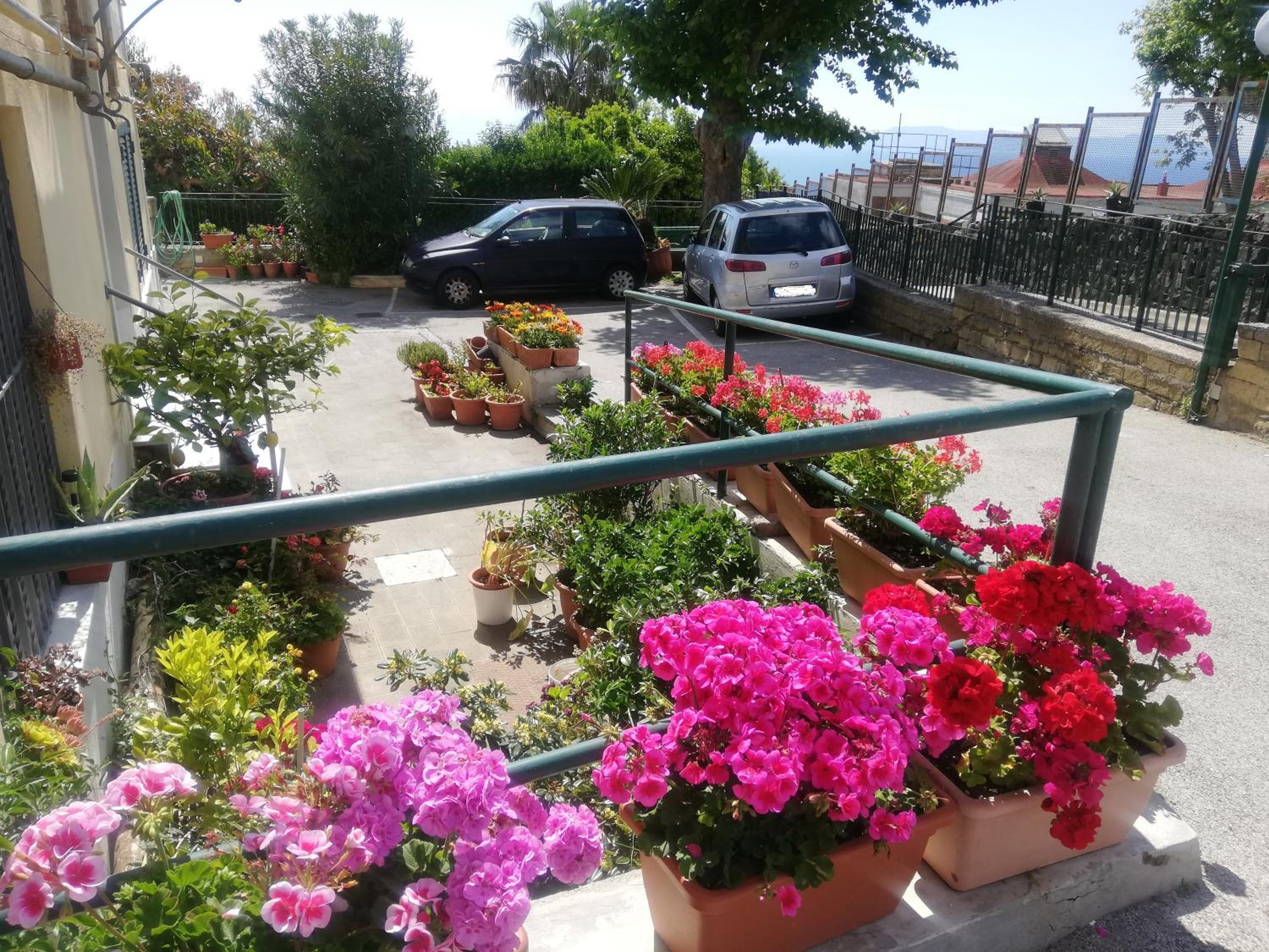 parking
