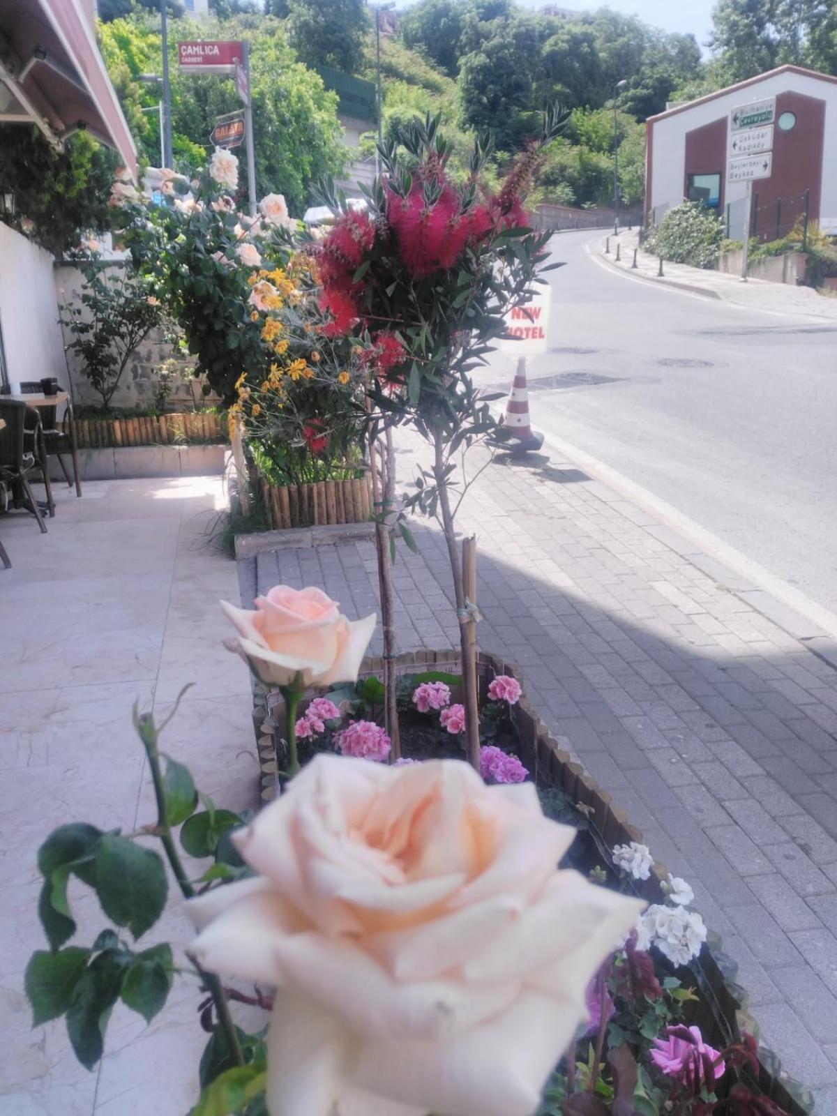 NEW BEYLERBEYİ OTEL - Image 6