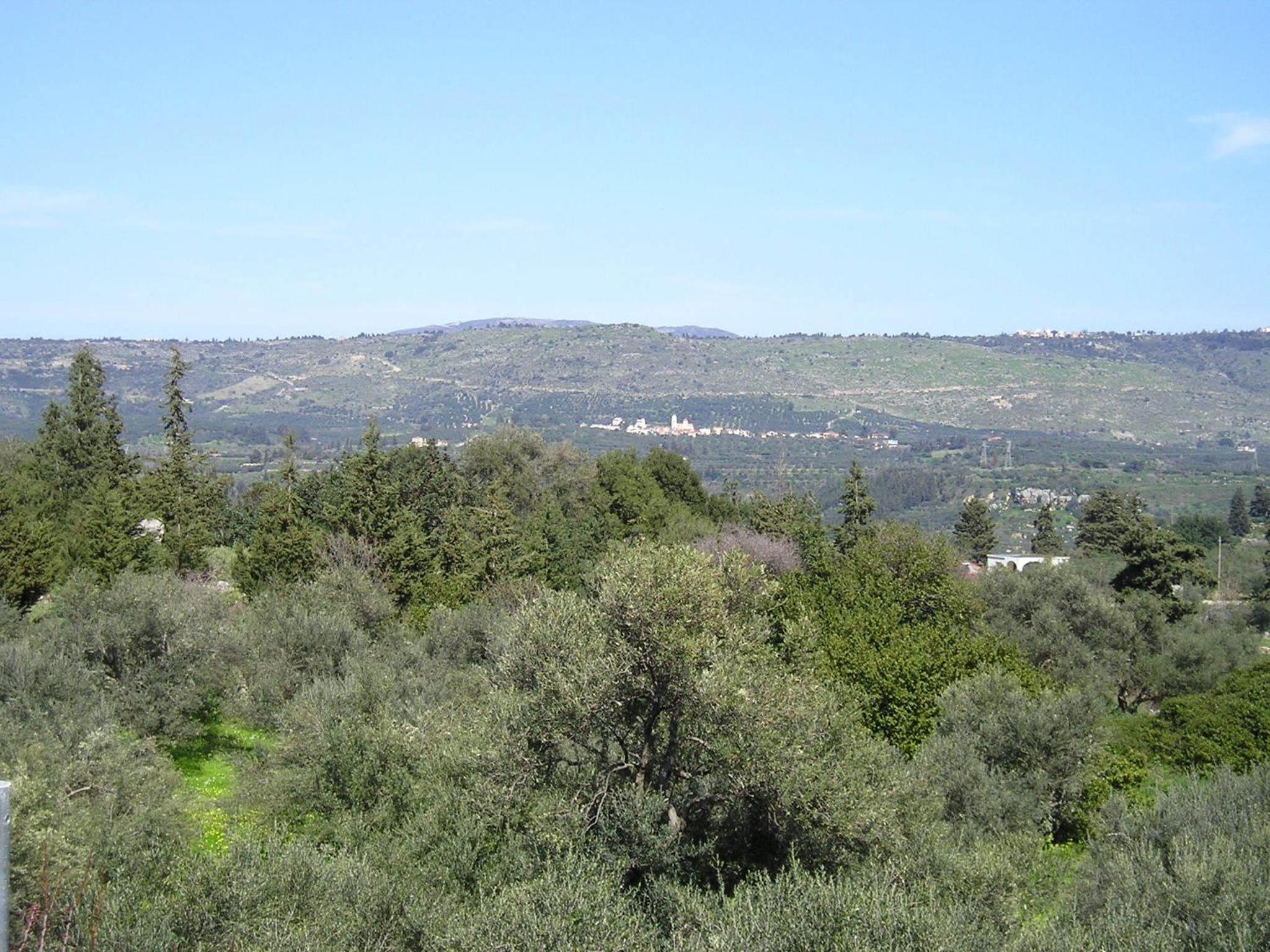 Photo 51