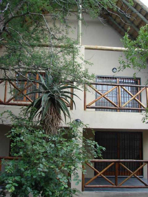 677Hornbill