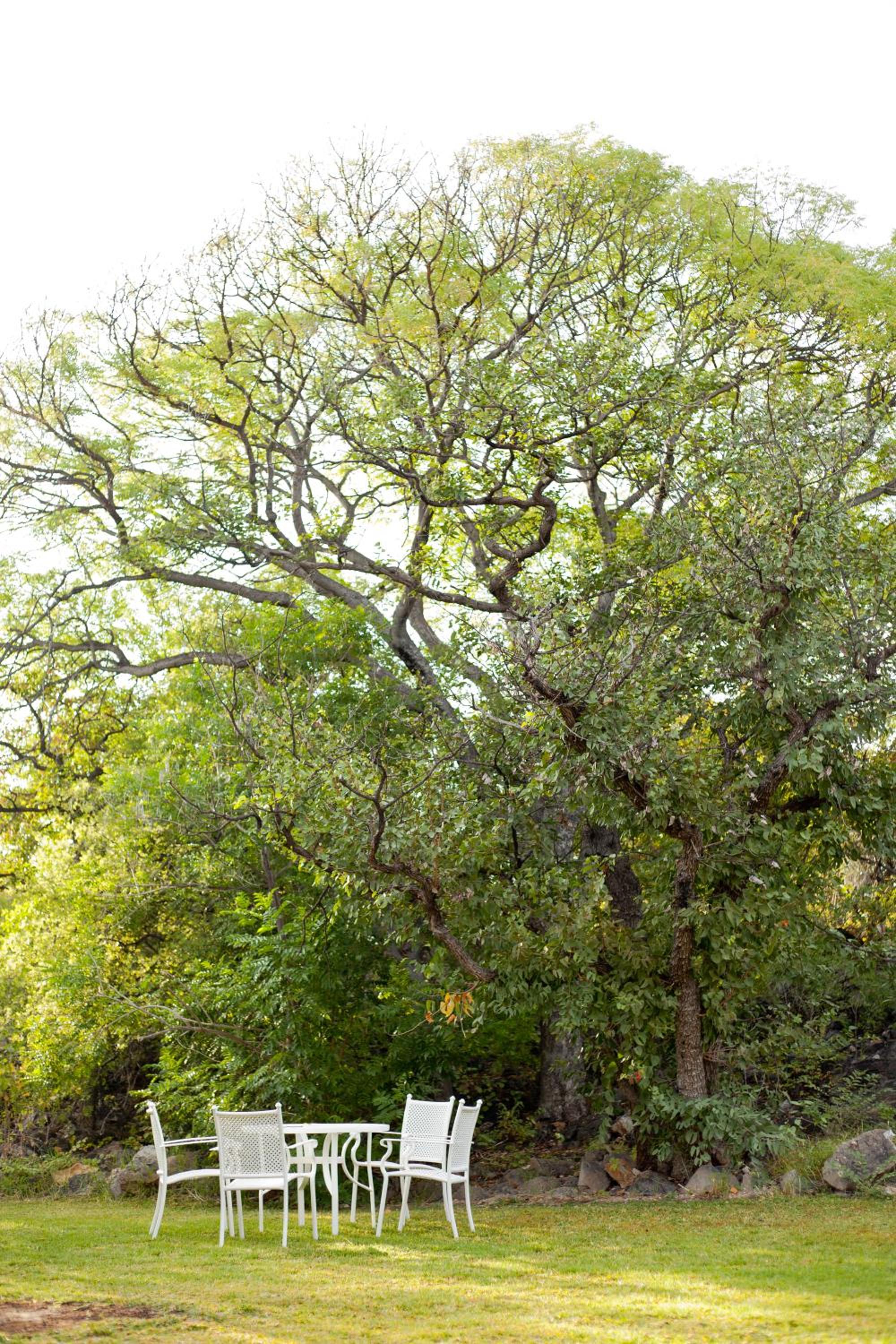 Photo 47