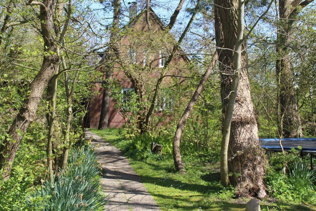 Haus Bernstein