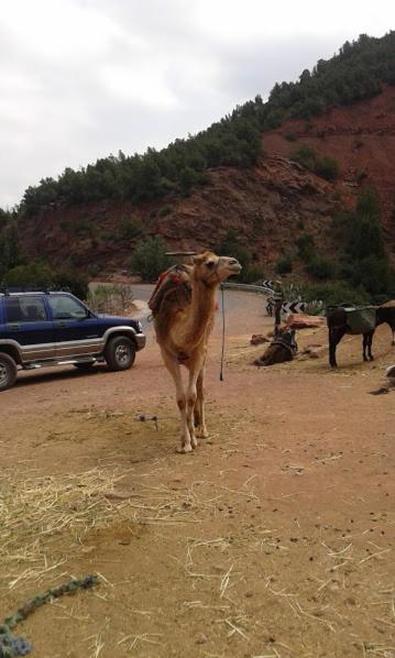 Photo 51