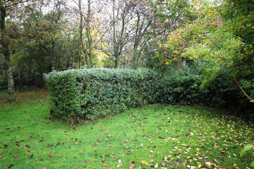 Photo 30