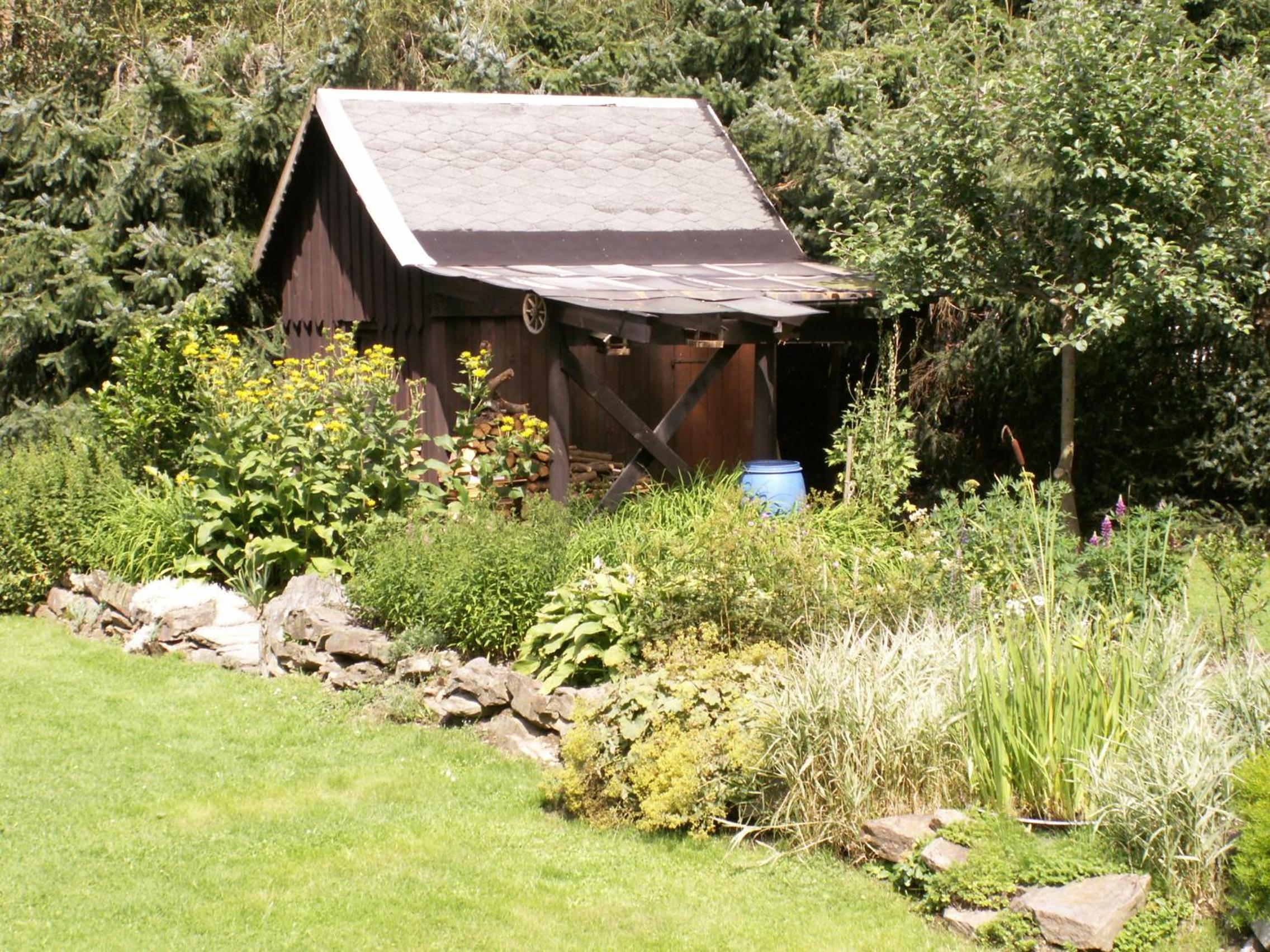Photo 19