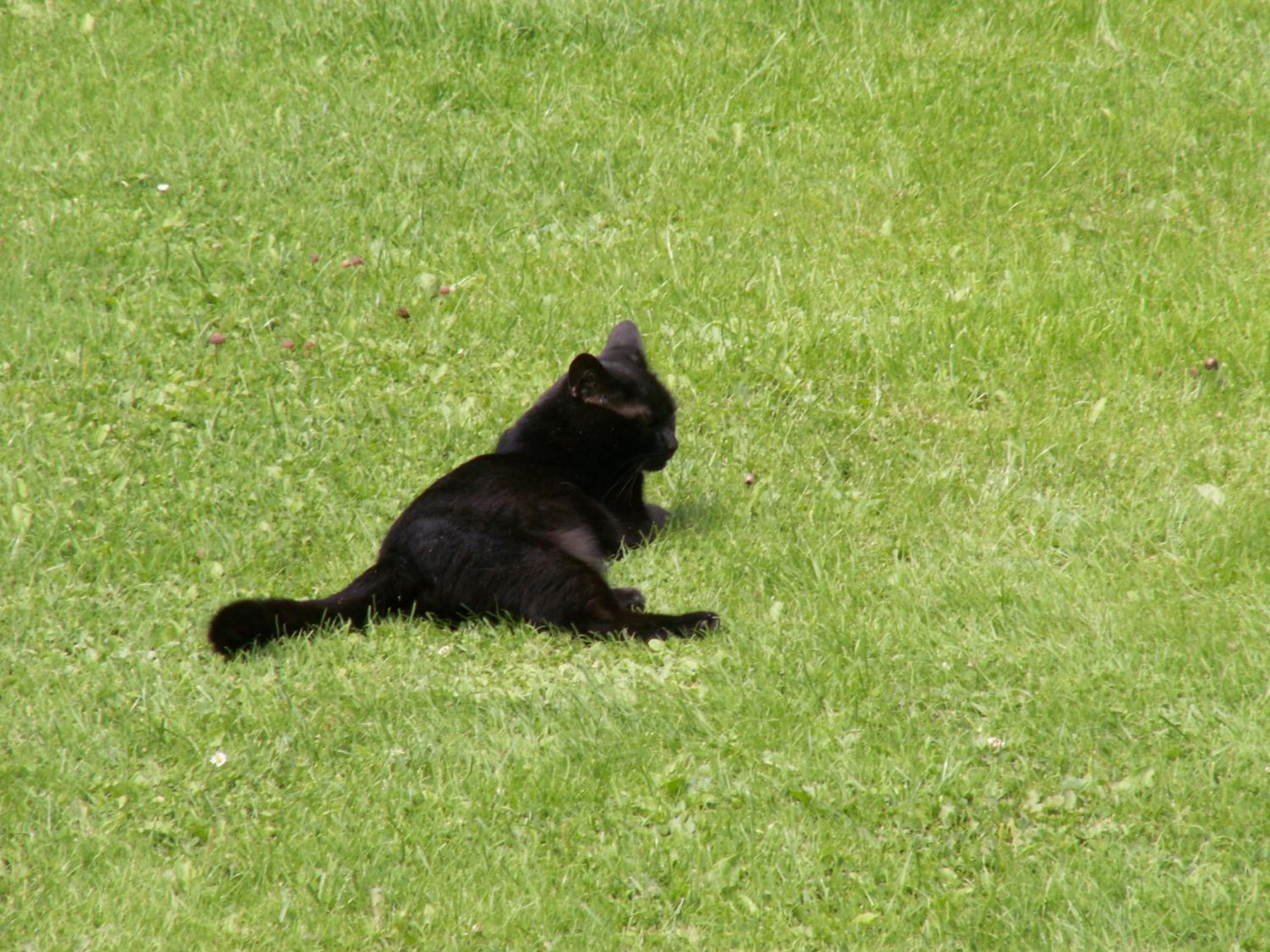 Photo 25