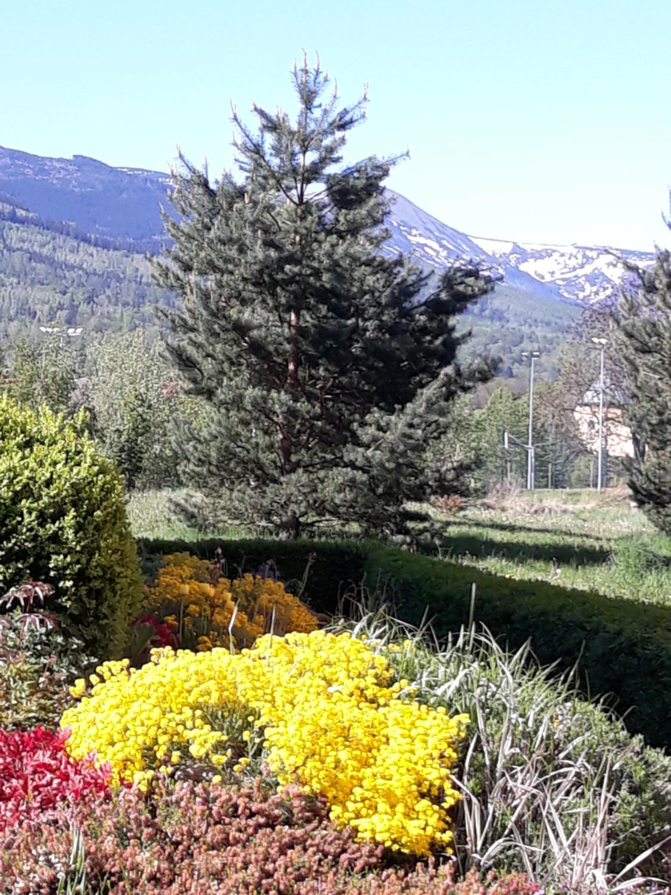 Photo 19