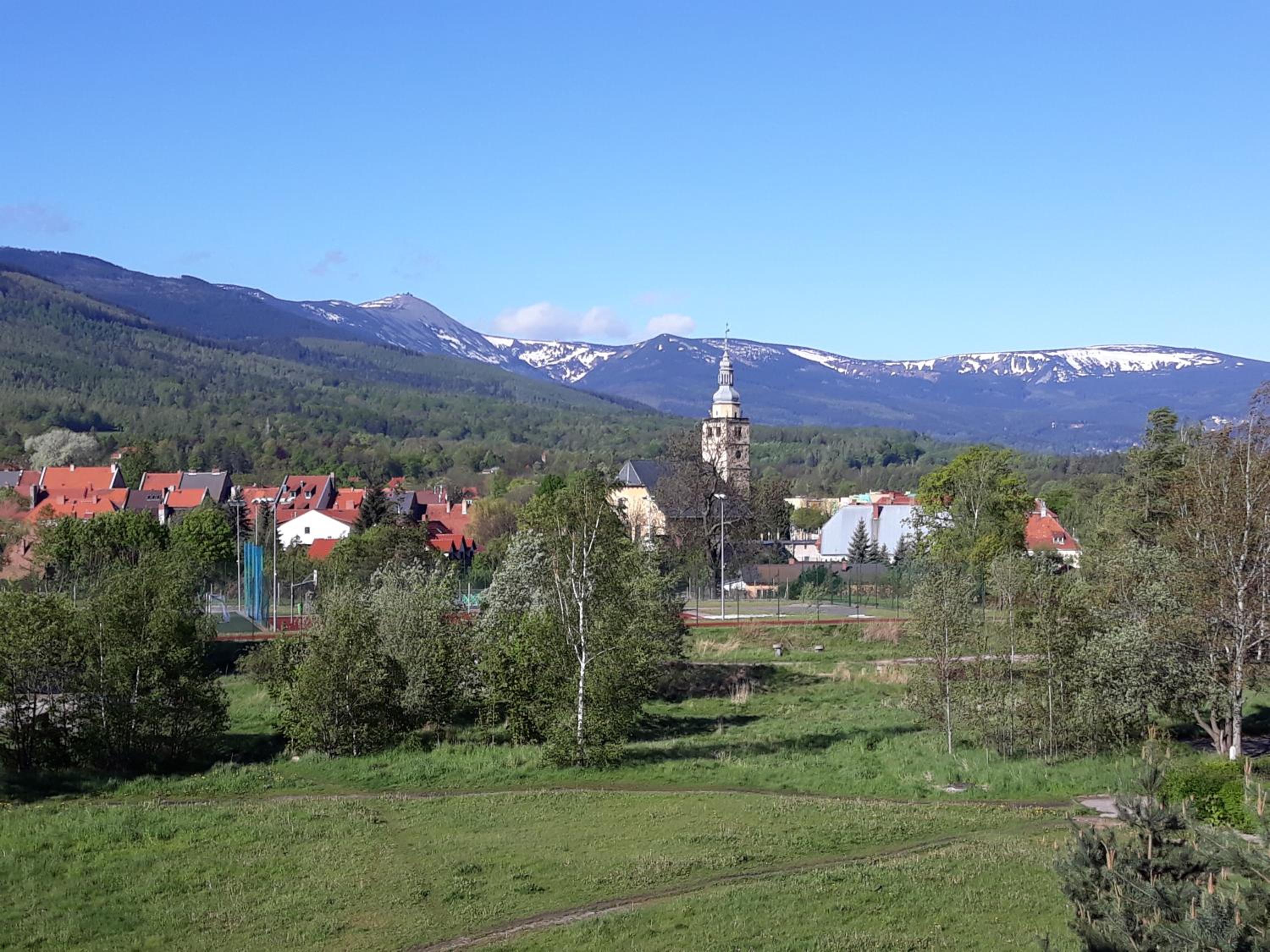 Photo 21