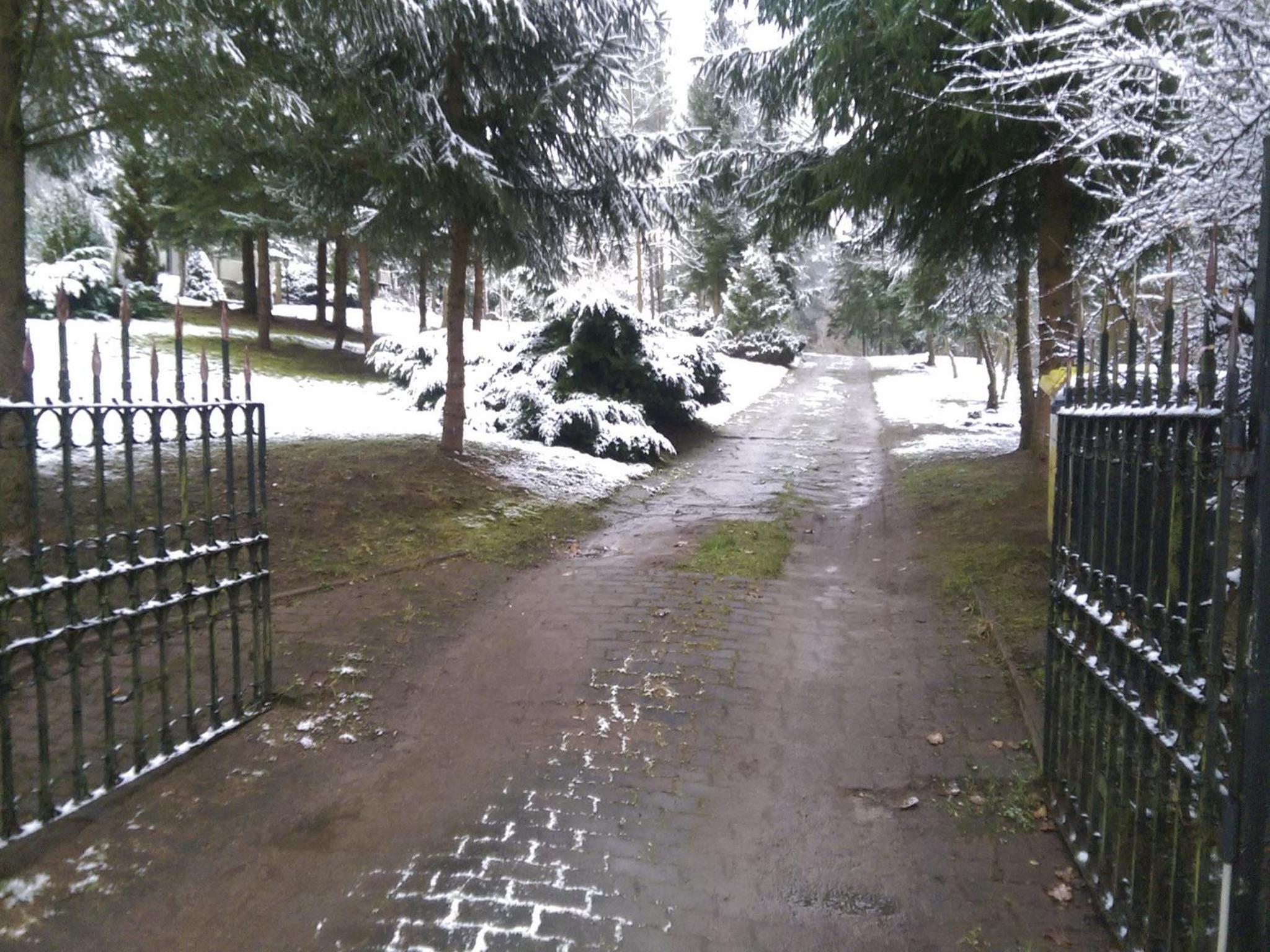 Photo 61