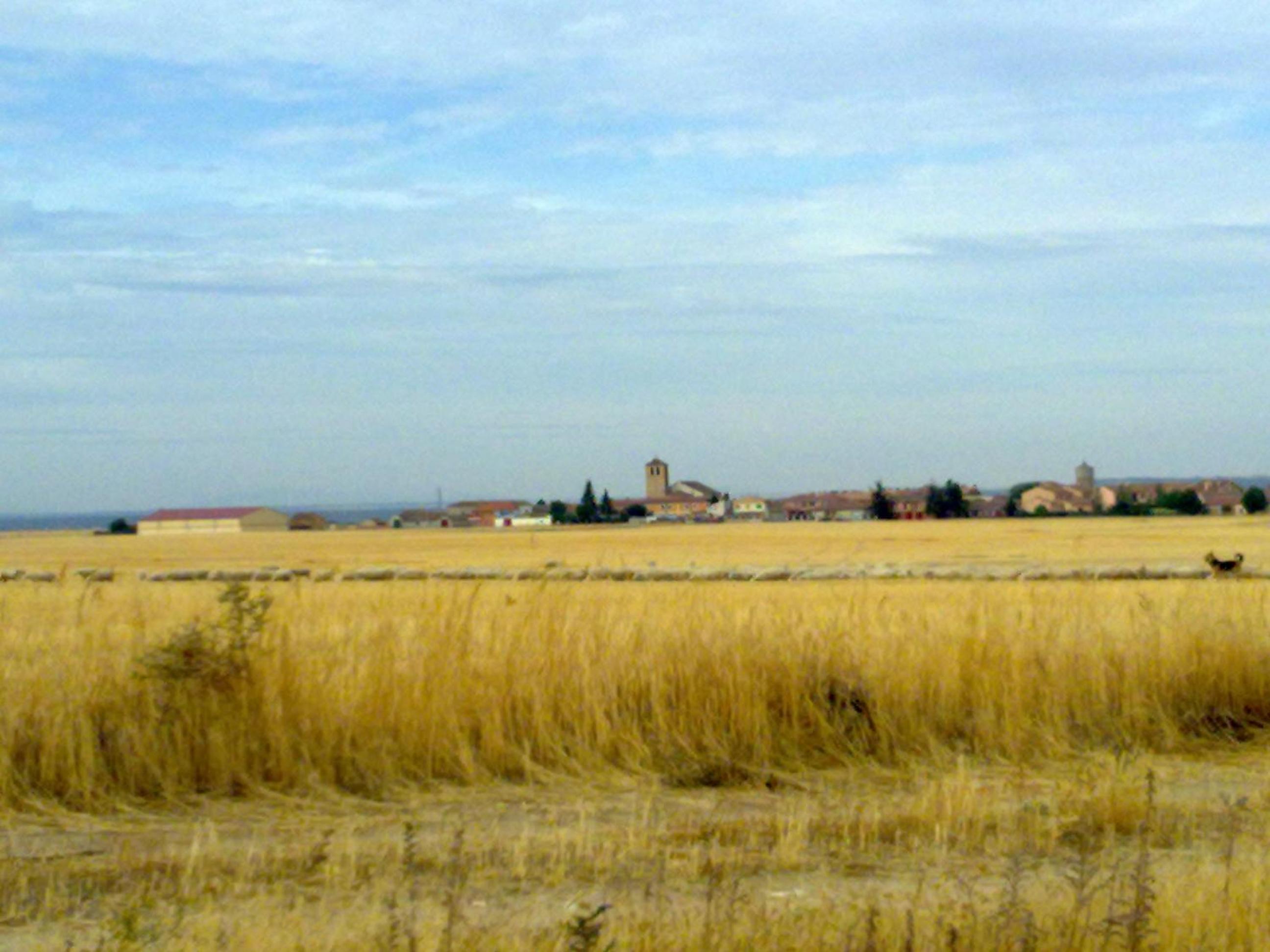 Photo 29