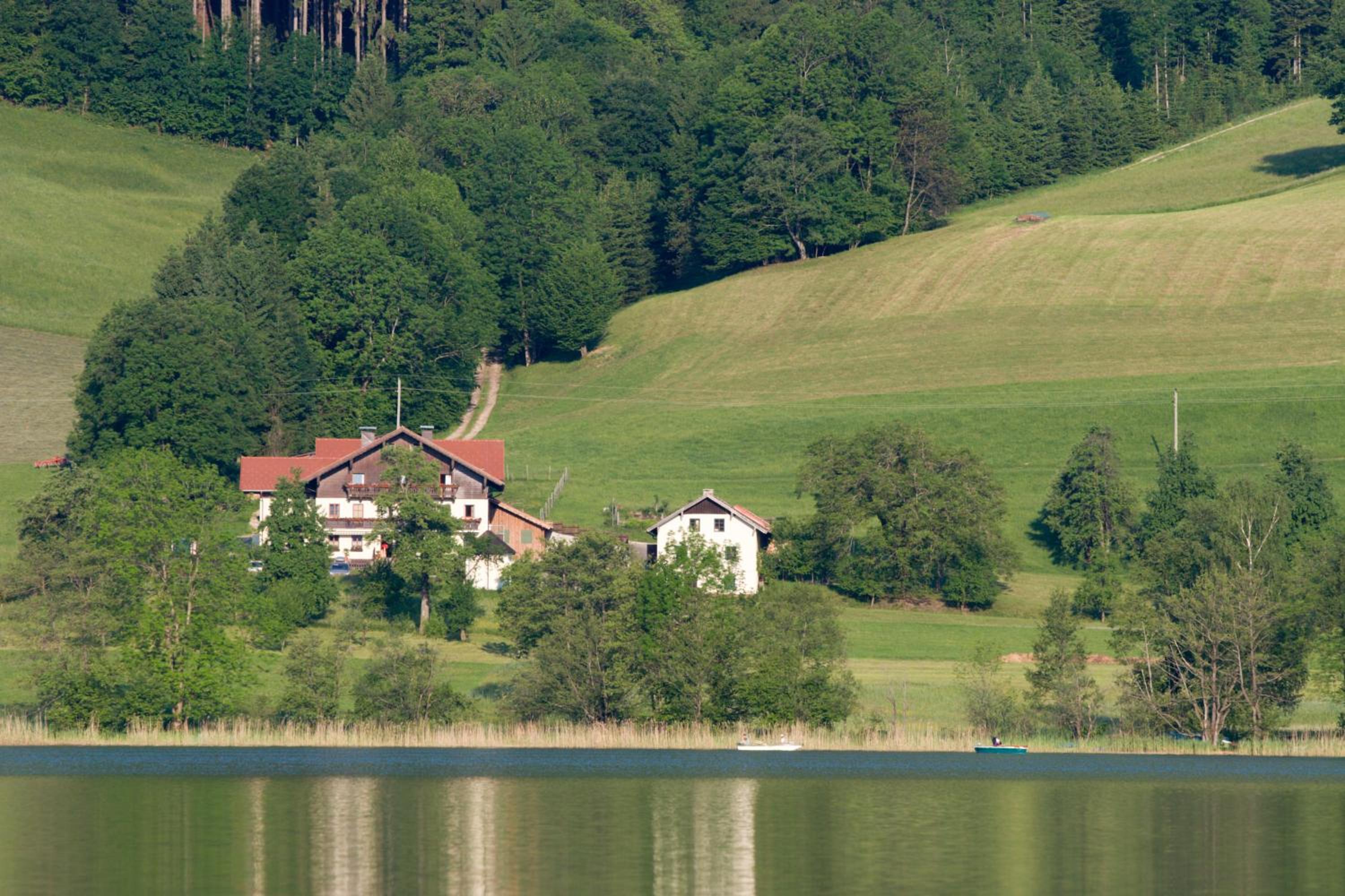 Nussbaumer am Irrsee