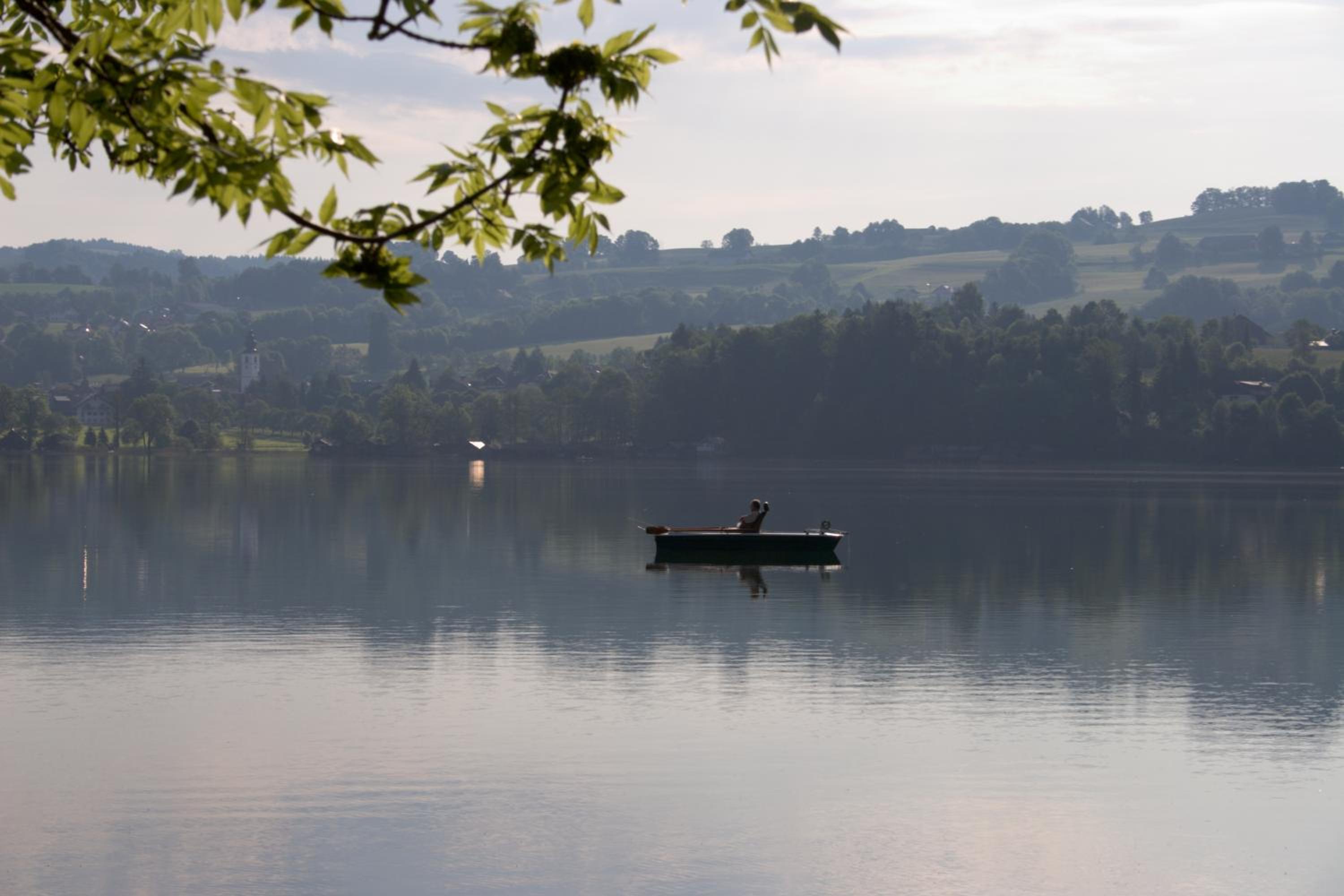 Nussbaumer am Irrsee