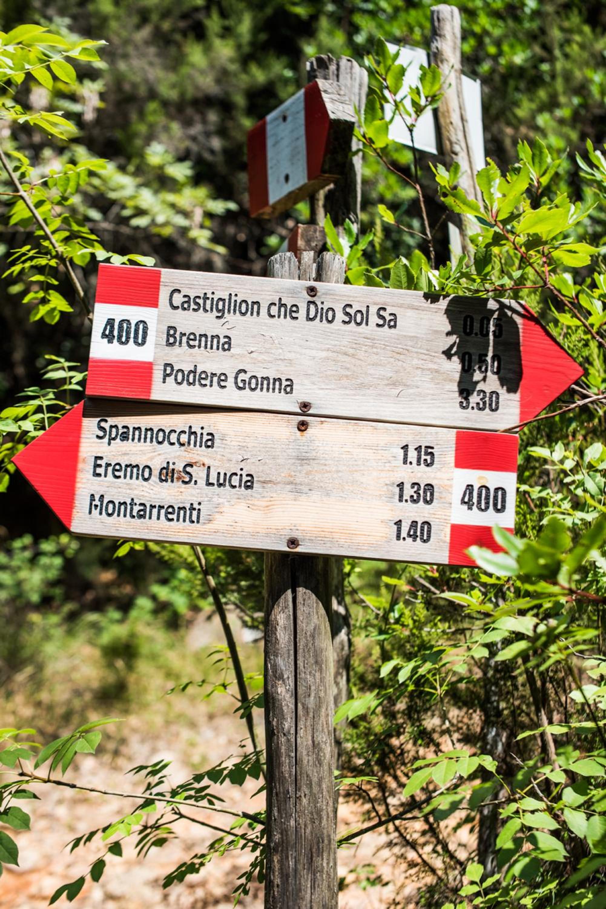 Tenuta di Spannocchia