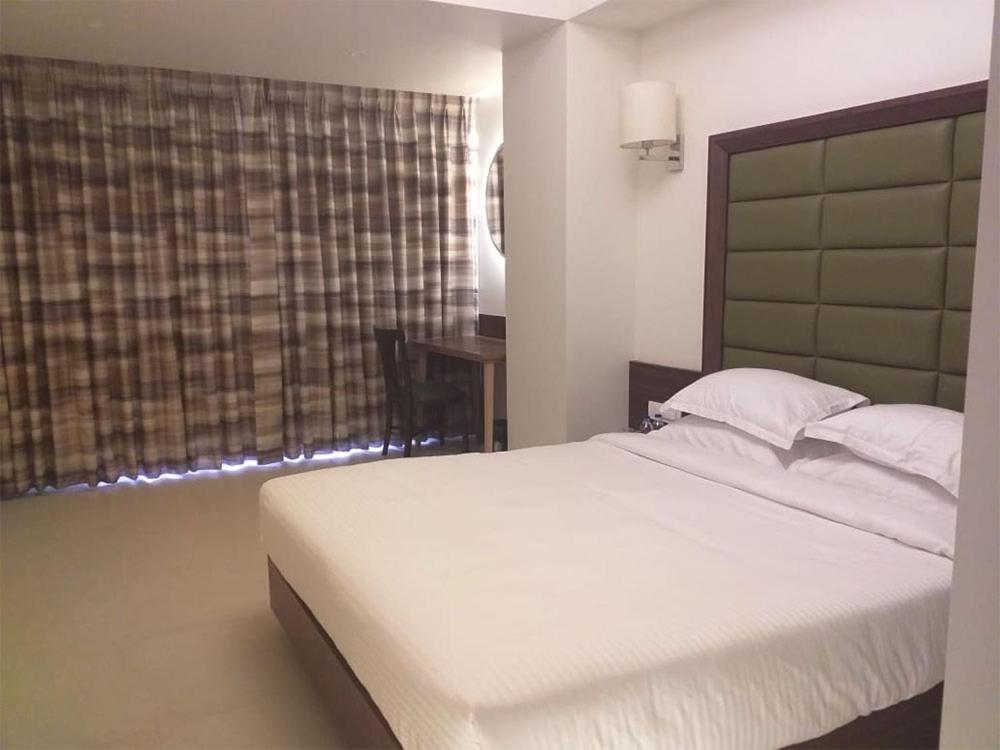 Krishna Palace Hotel view 5