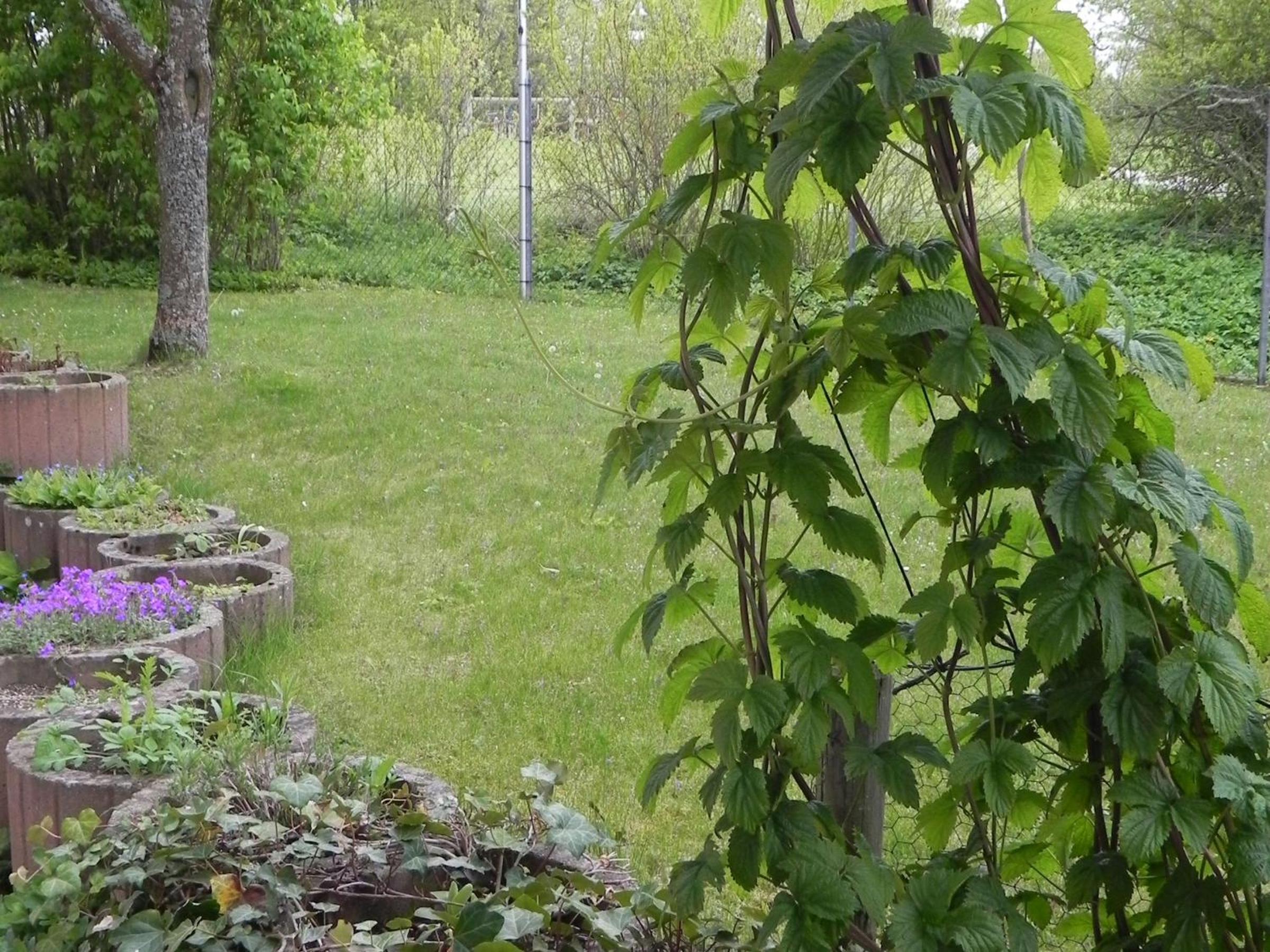 Ferienwohnung Beck view 4
