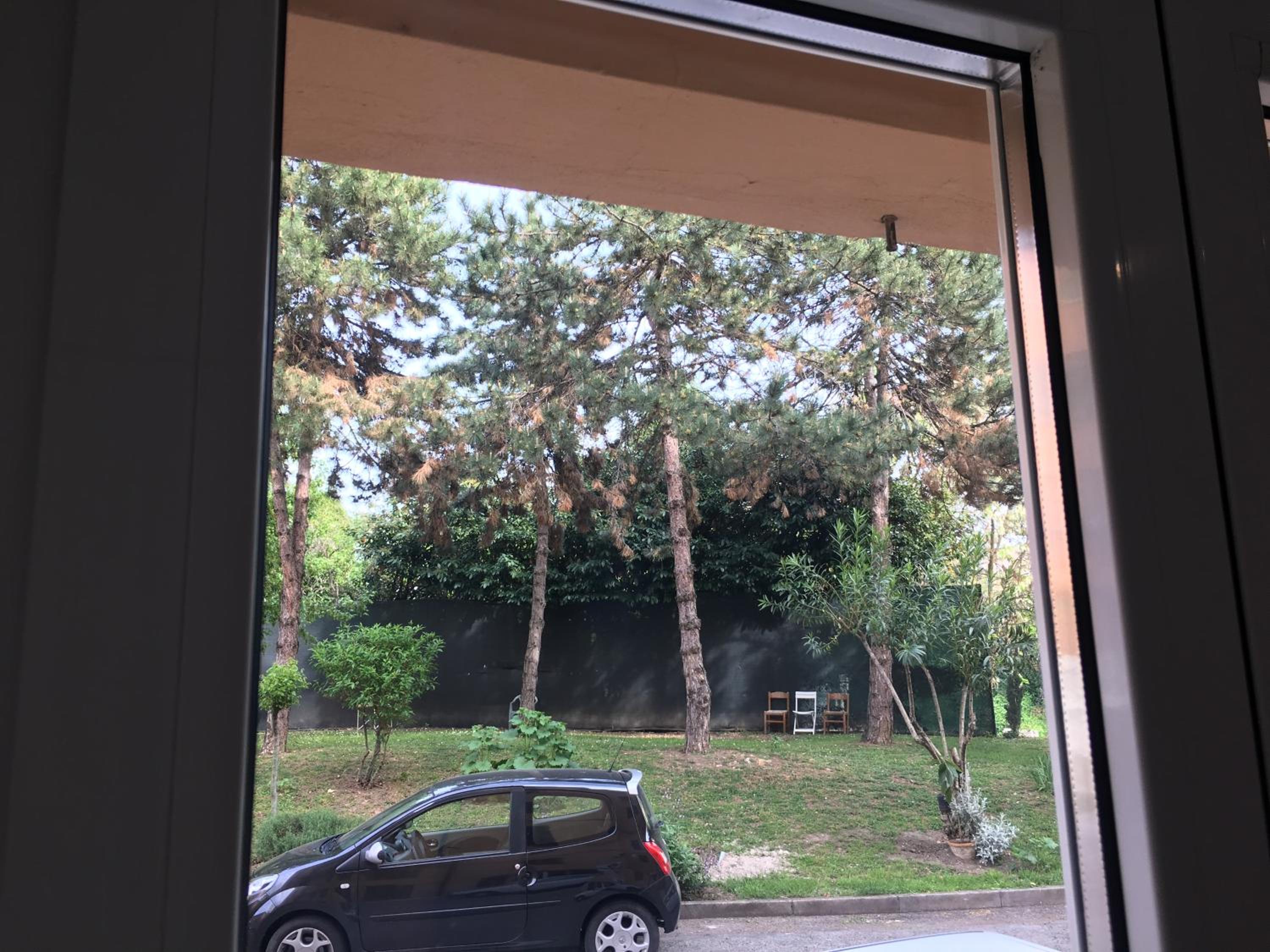 Tra S.Orsola e Fiera view 5