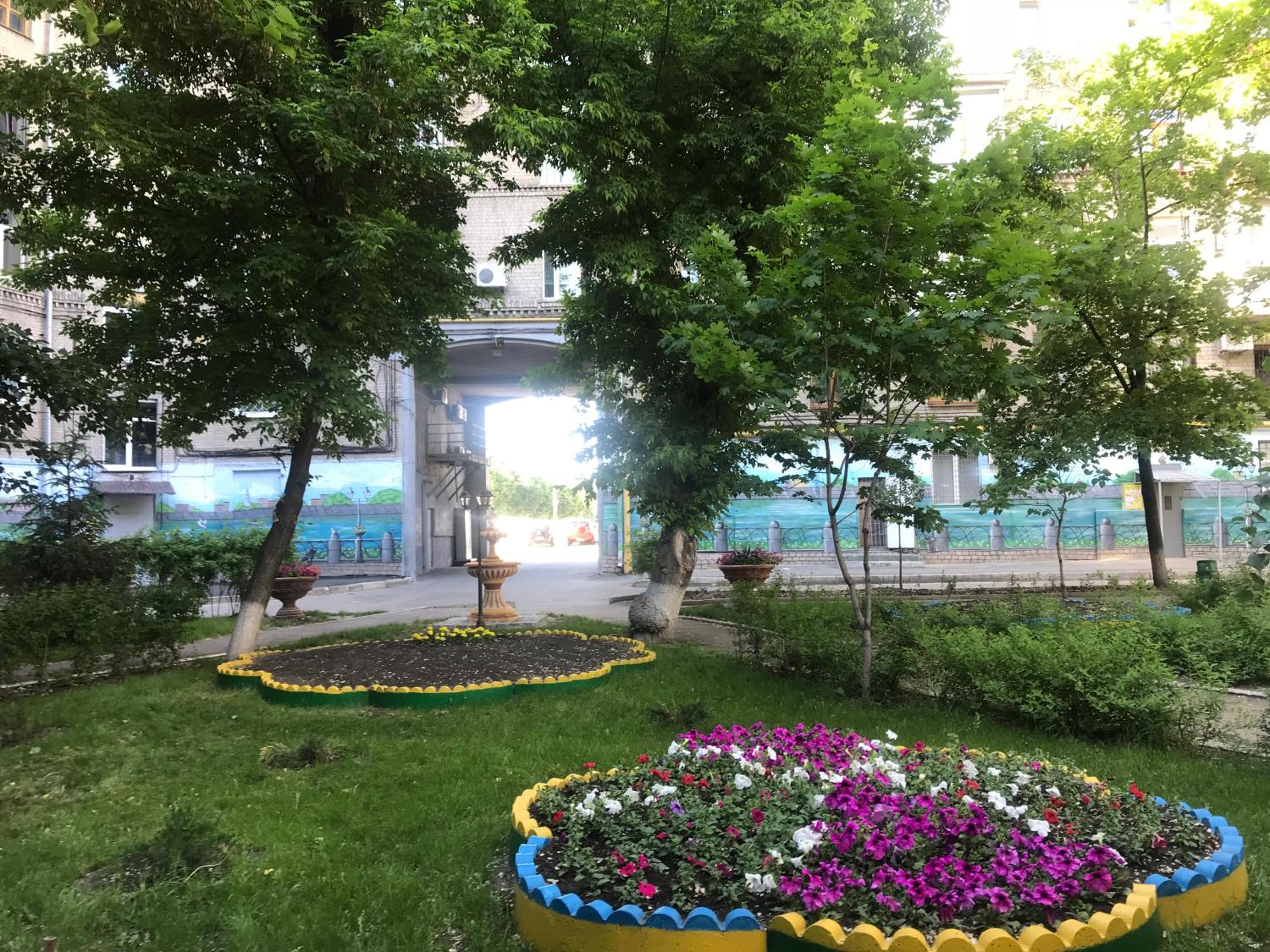 Photo 41