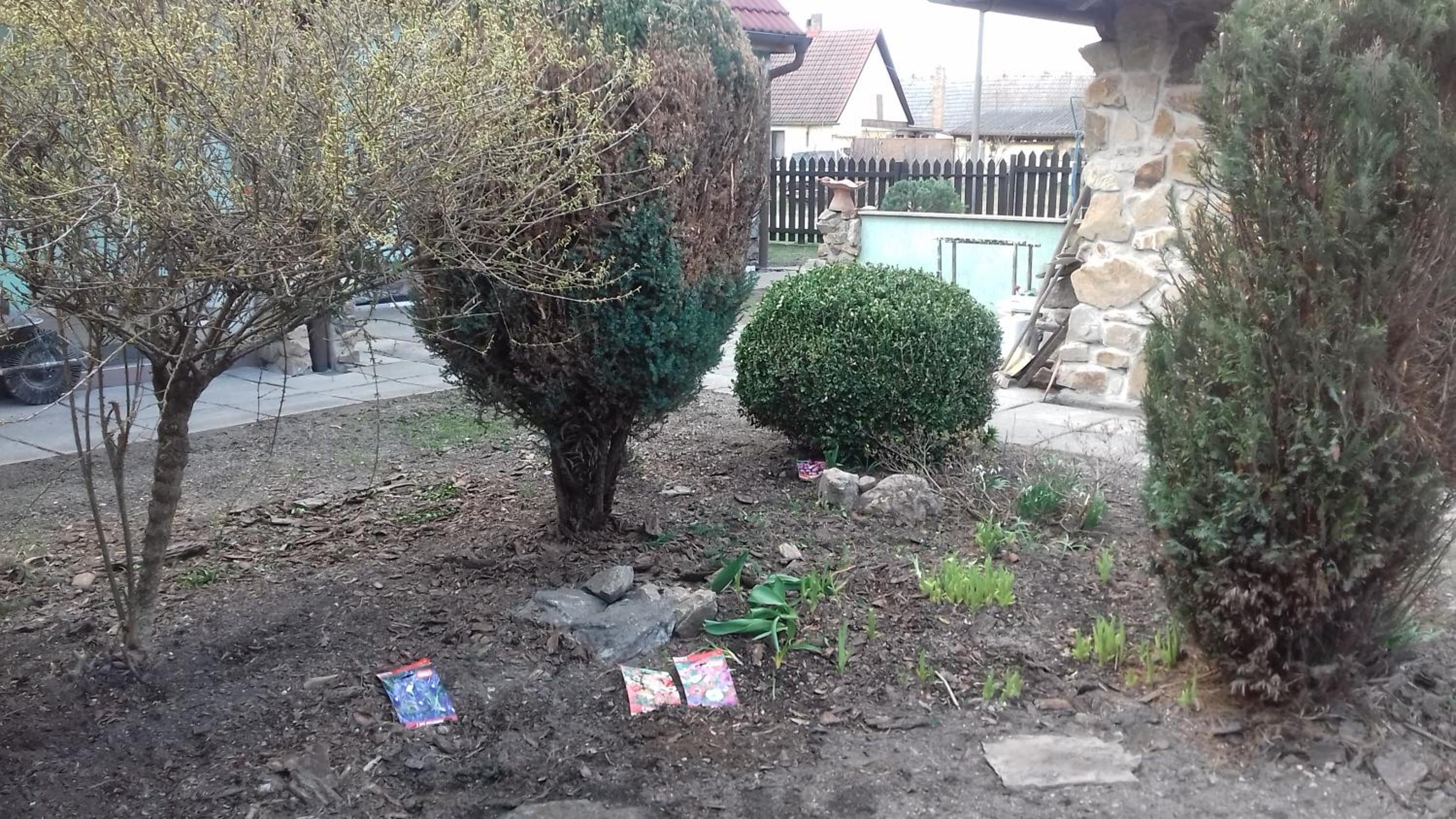 Photo 46