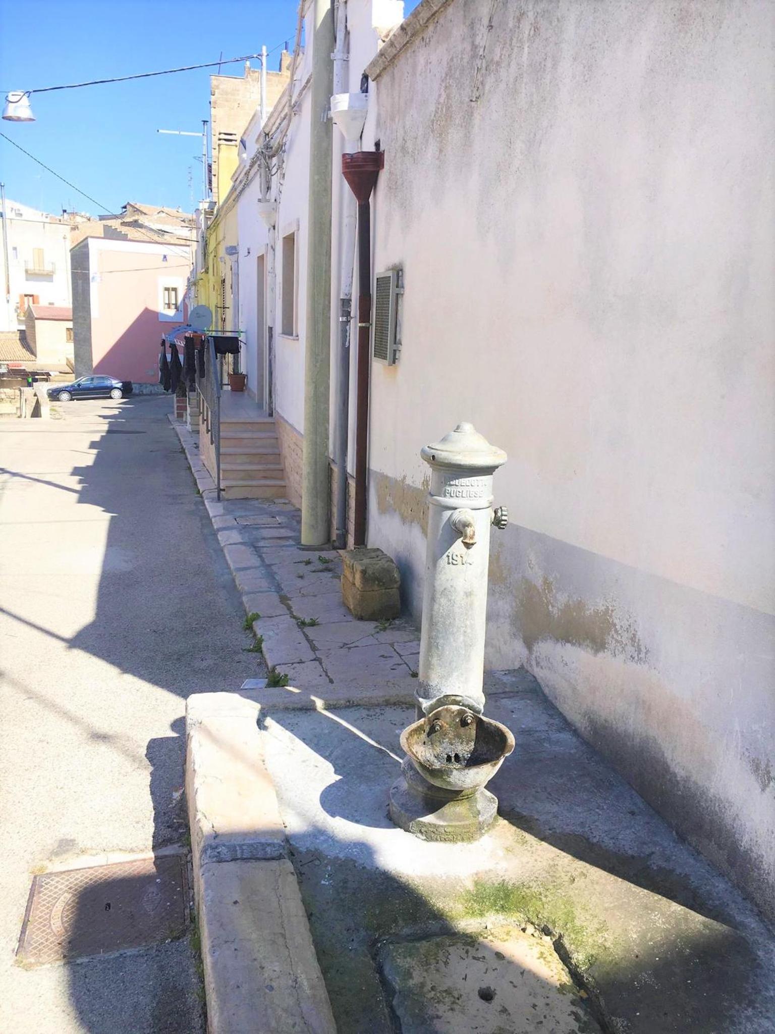 Patanella Wine