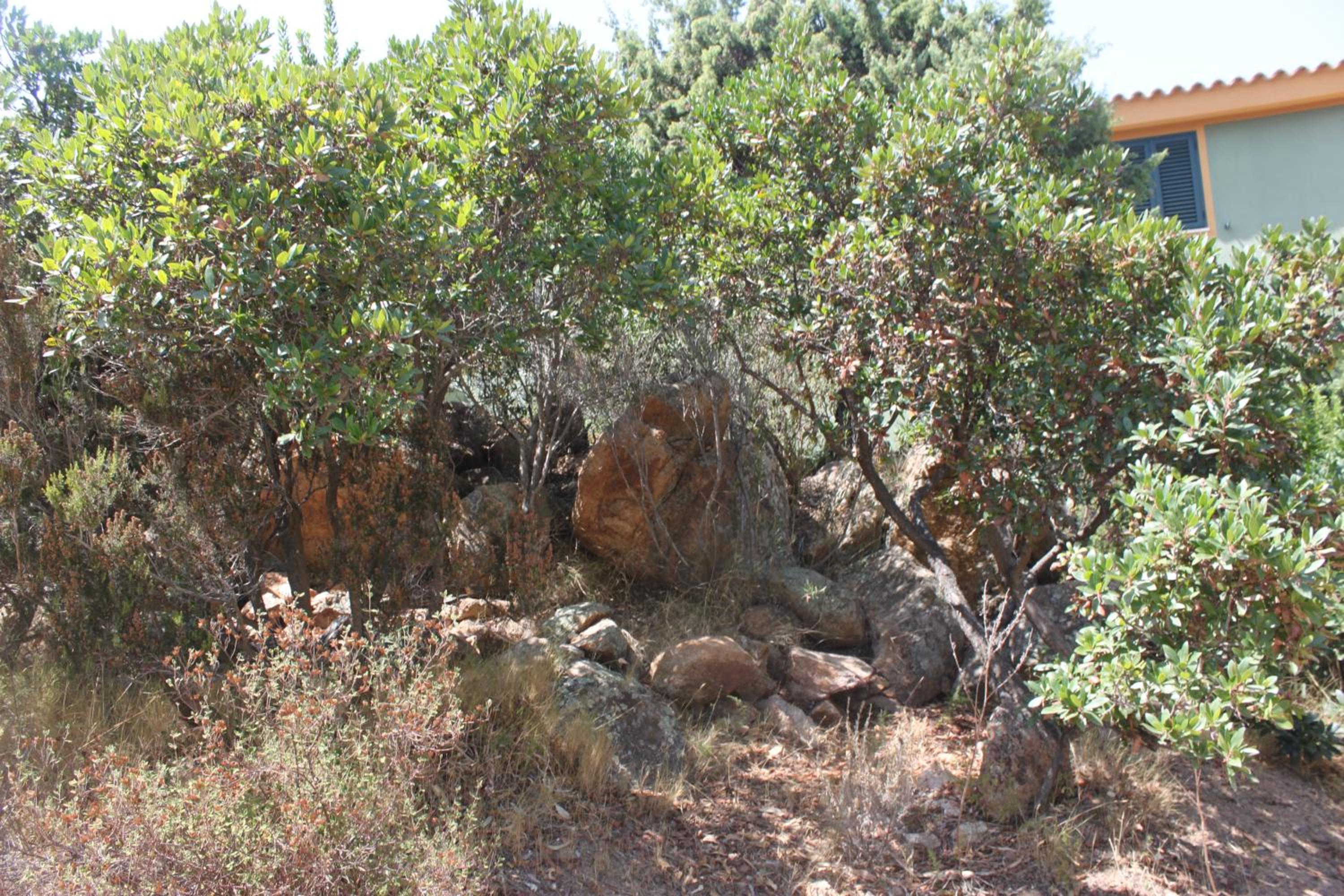 Photo 27