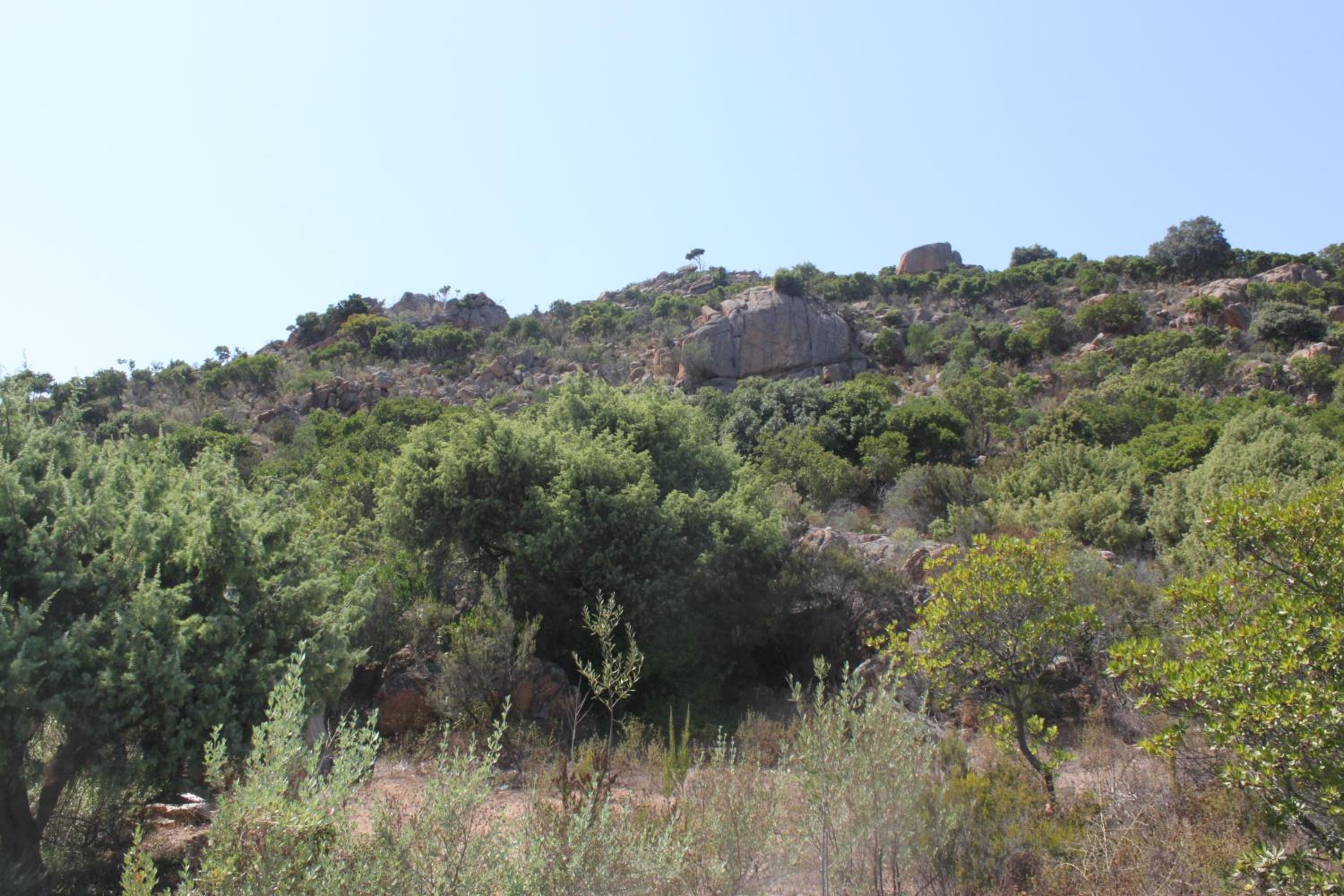 Photo 39