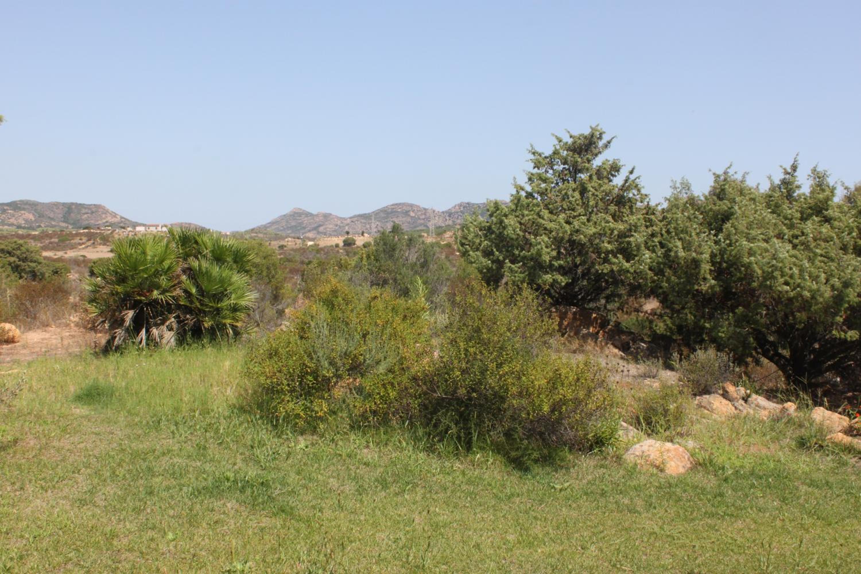 Photo 46