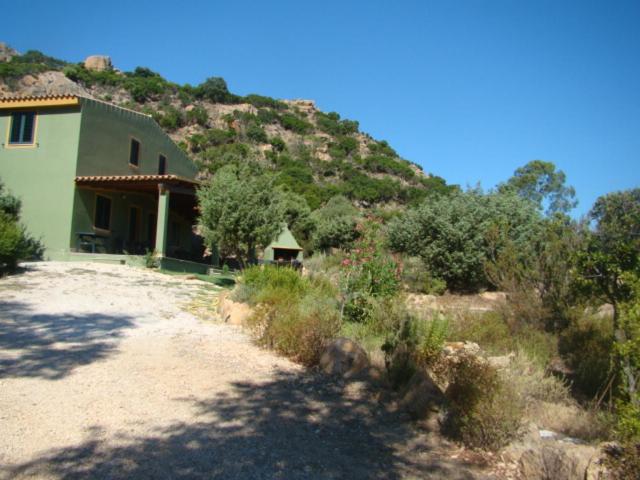 Photo 49
