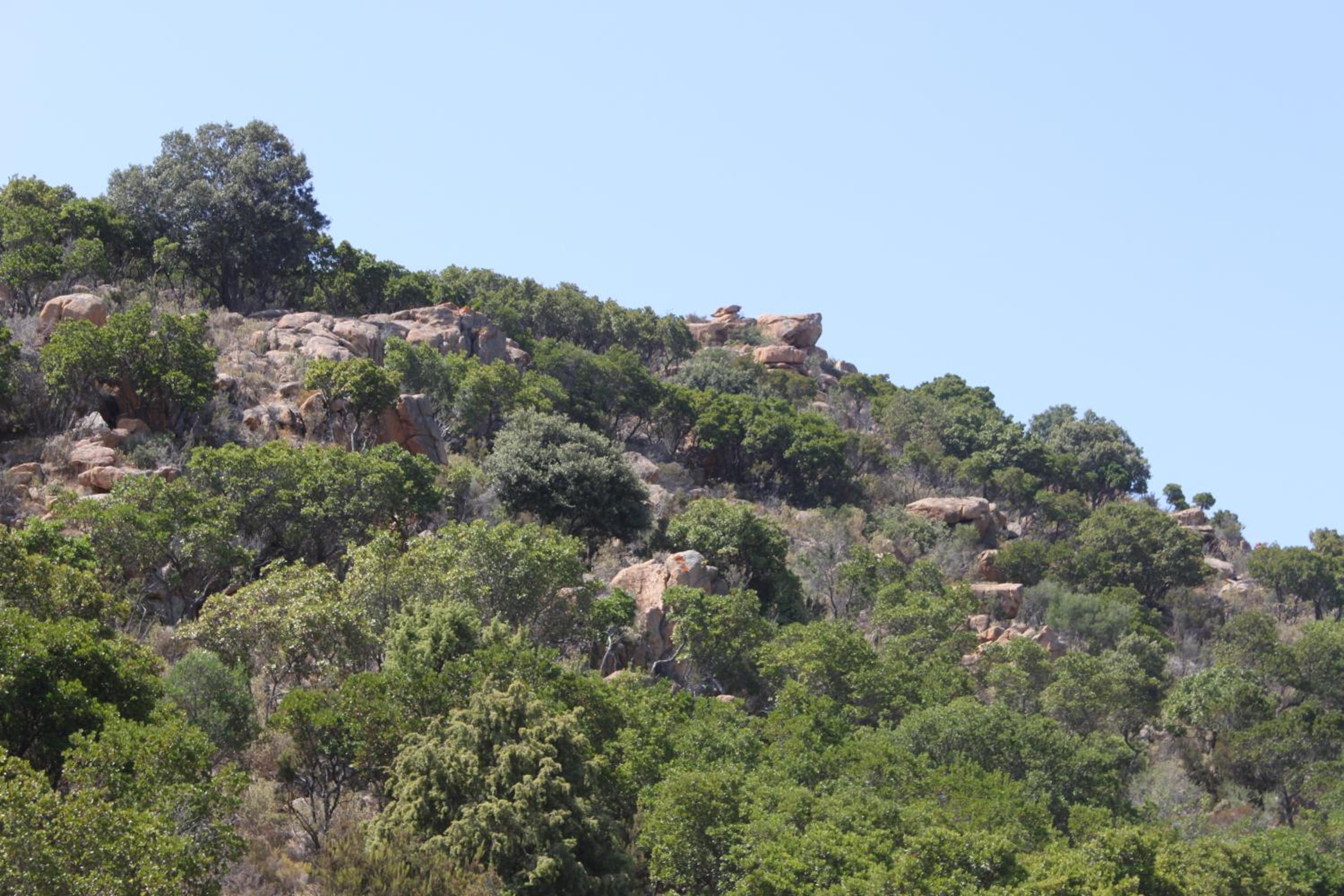 OroVilla Vera view 4
