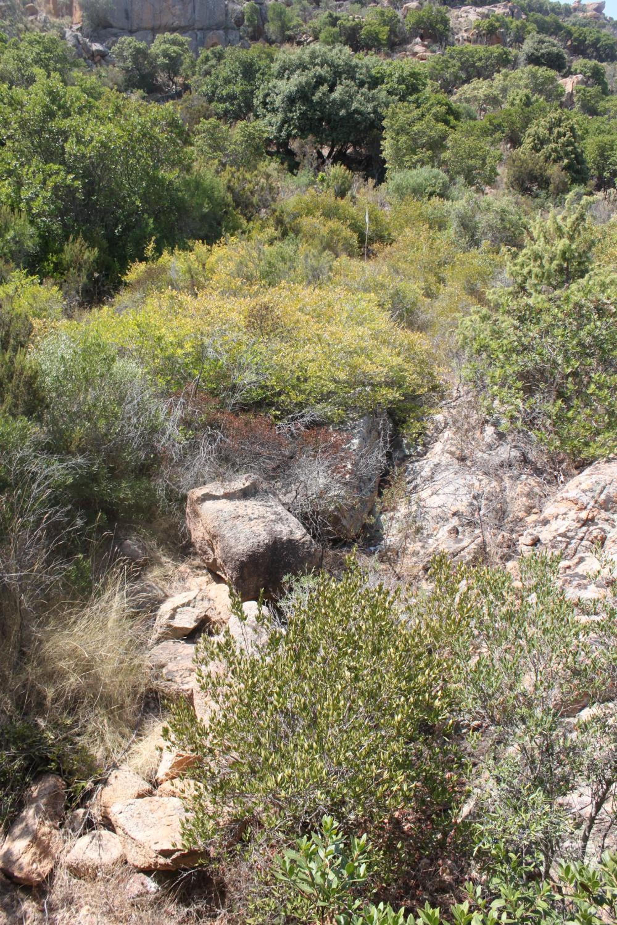 Photo 32