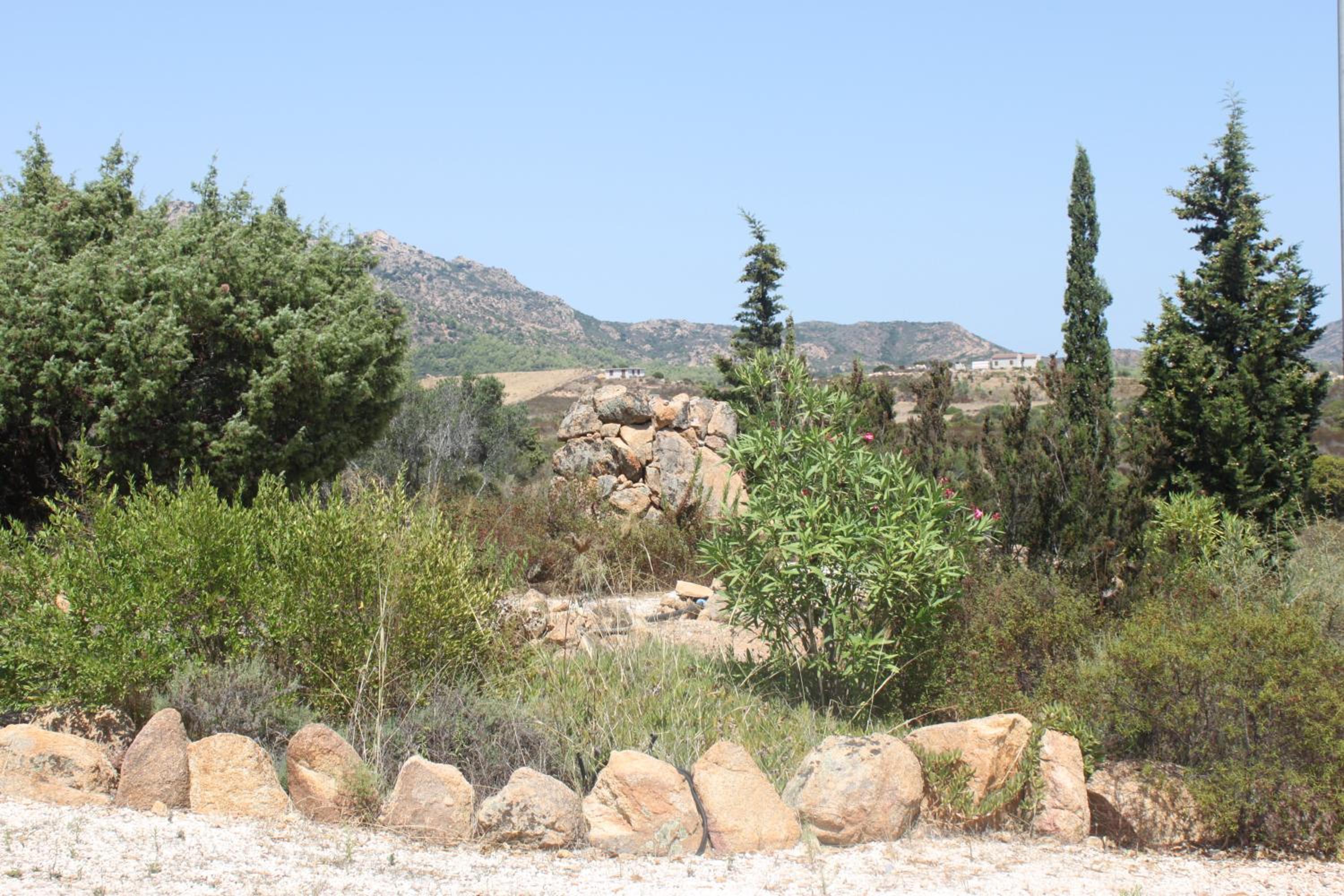 Photo 40