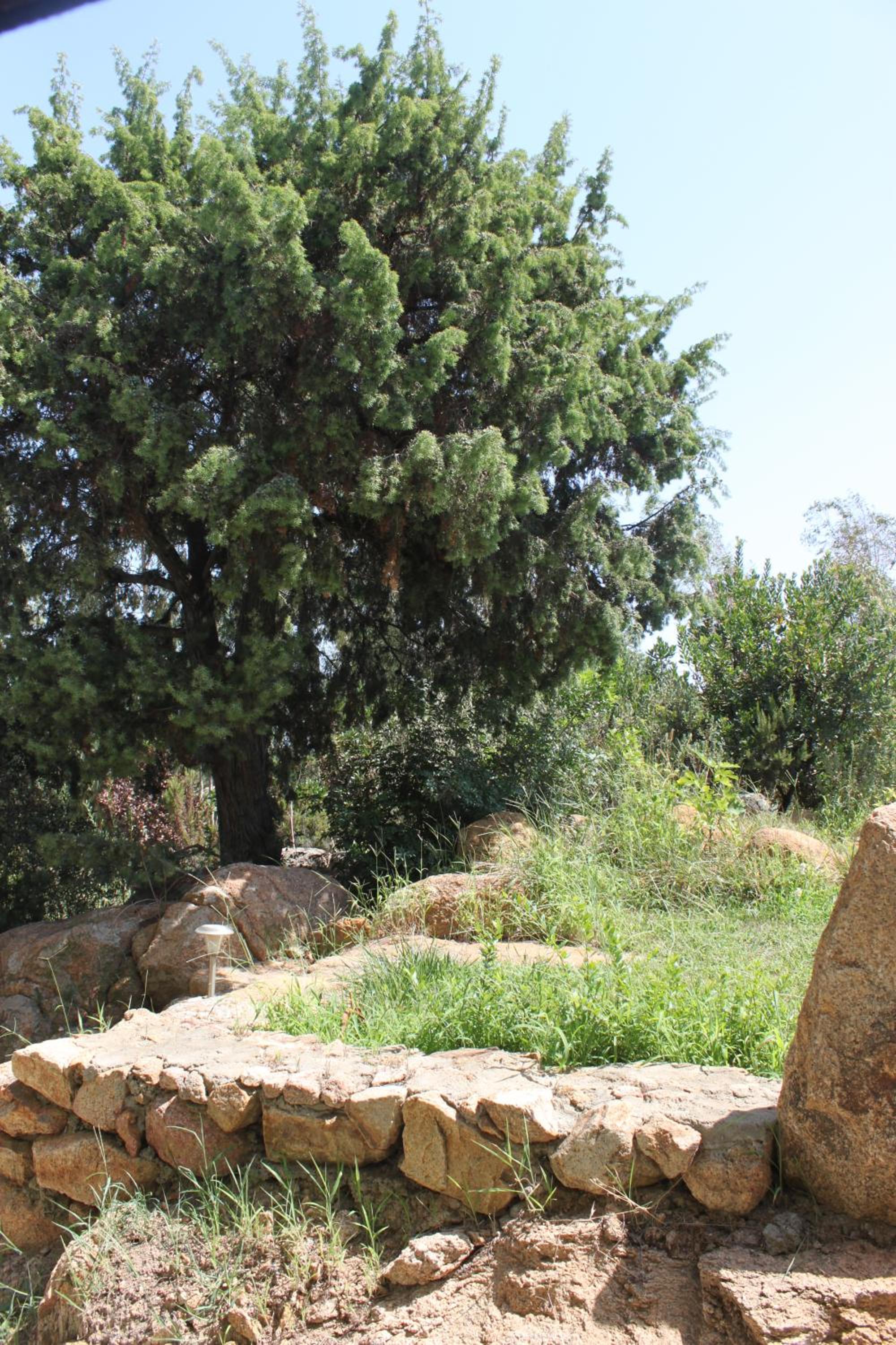 Photo 43