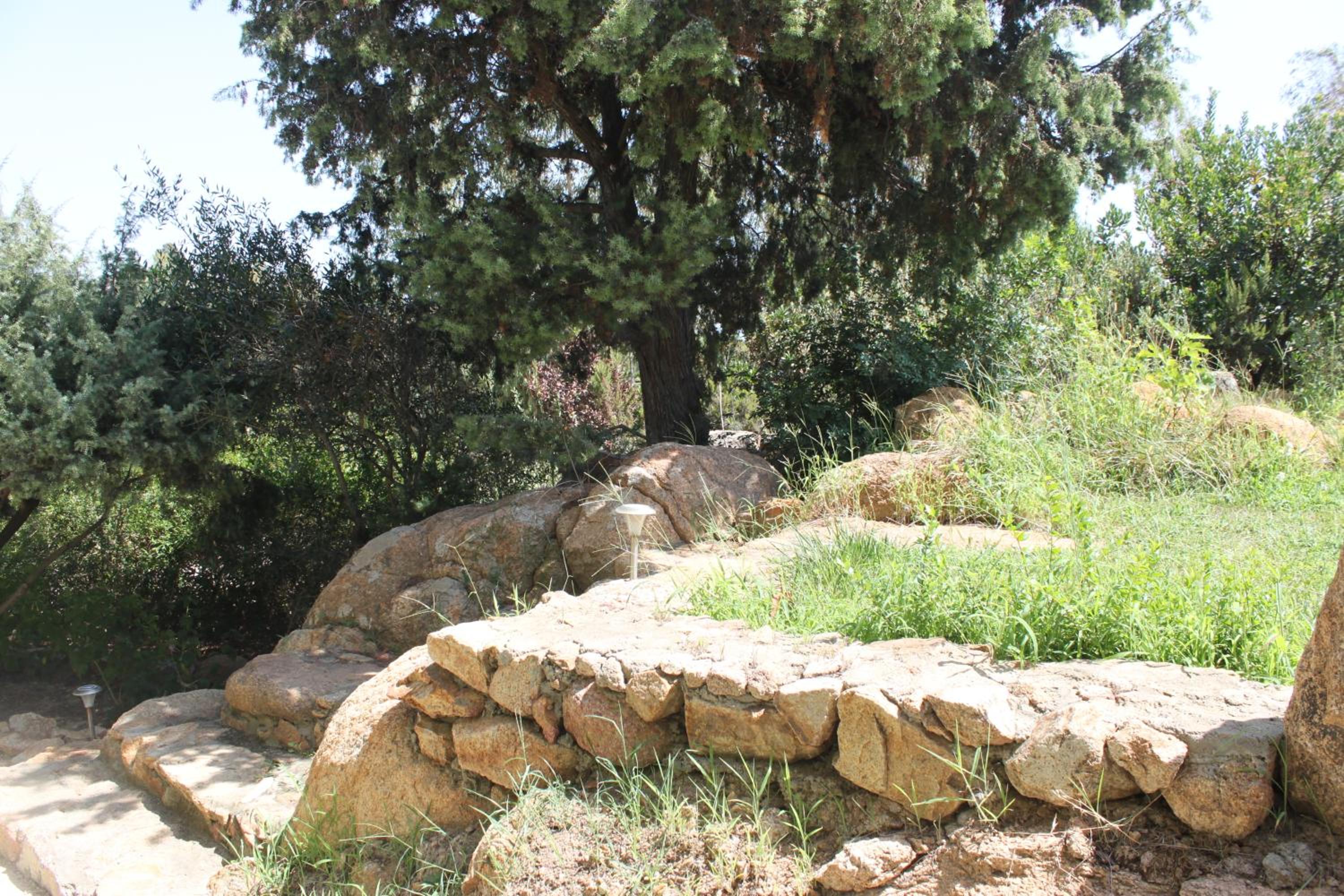 Photo 47