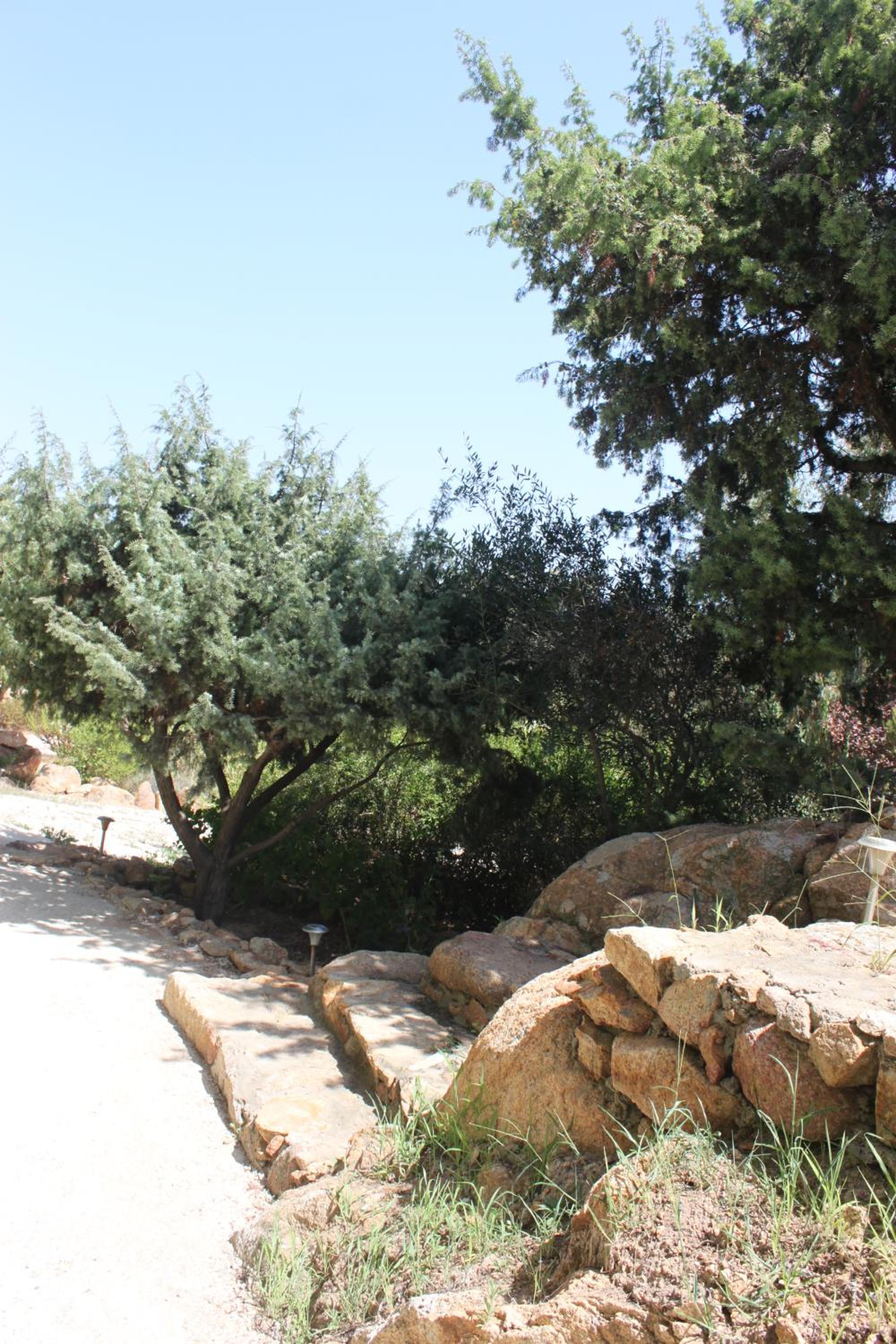Photo 34