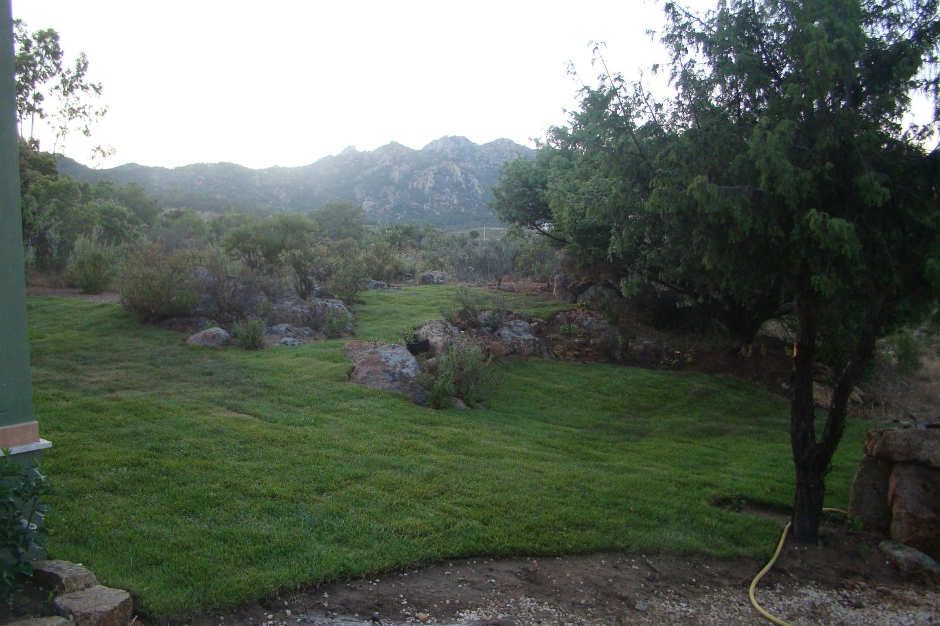 Photo 45