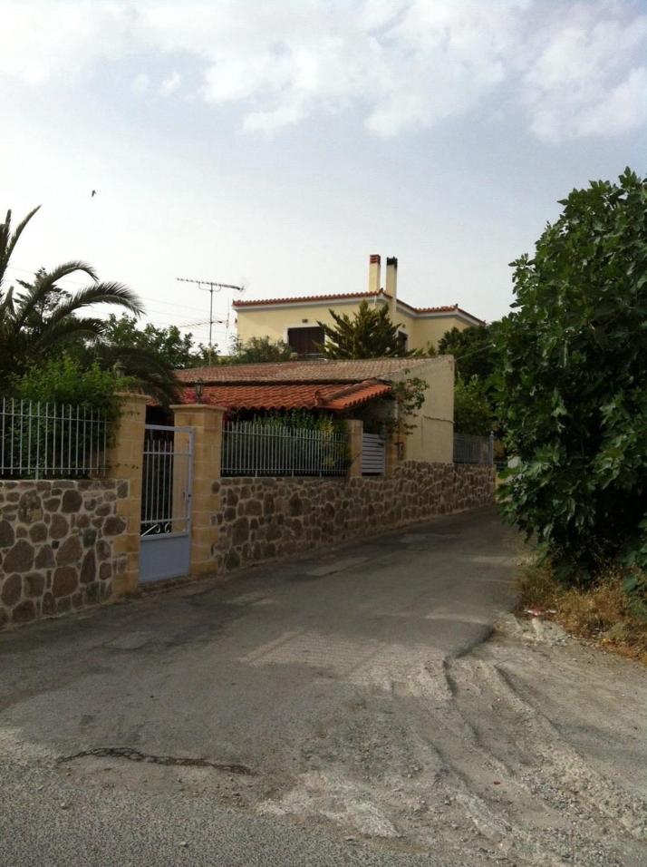 Photo 29