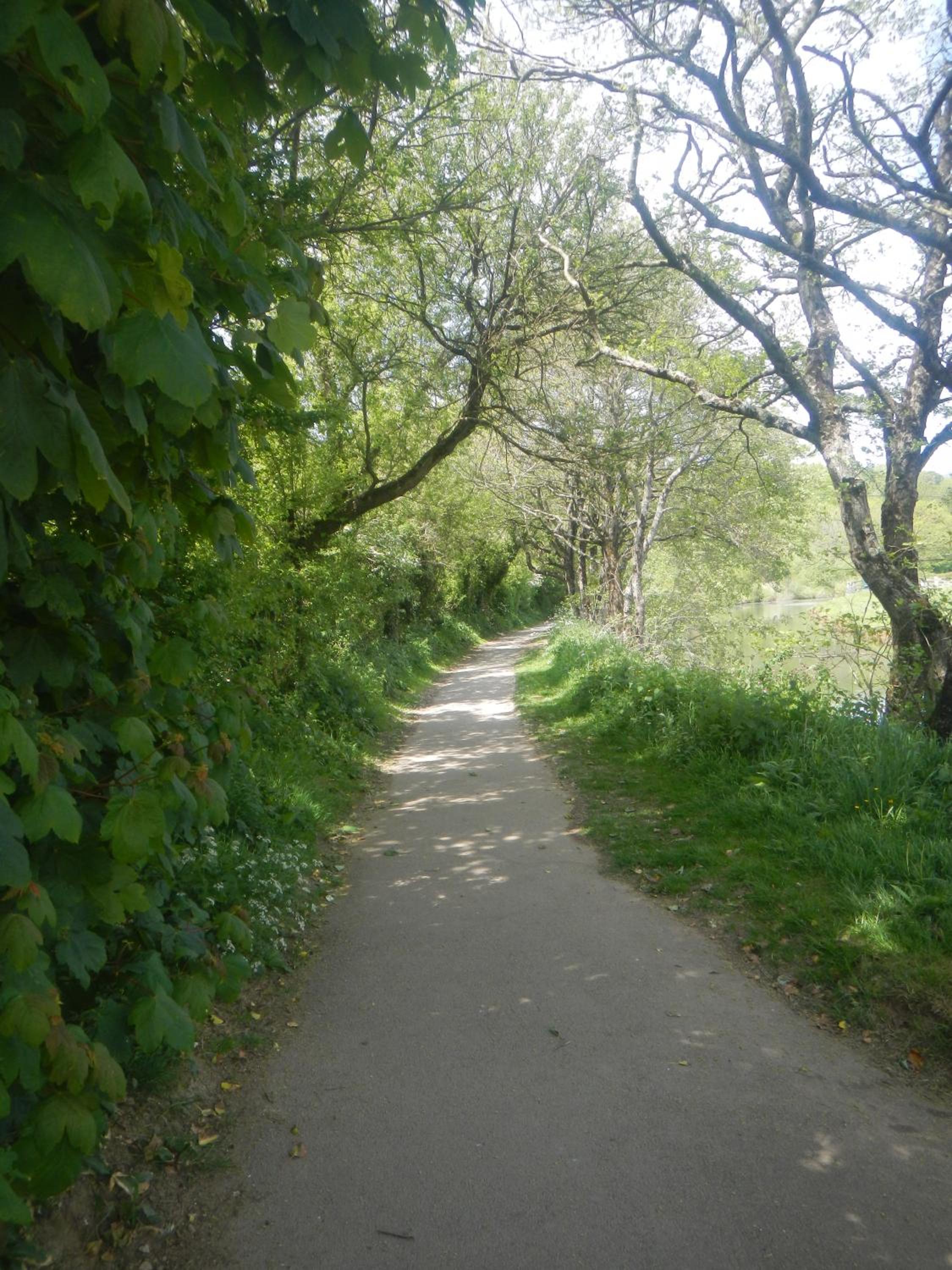 Bude Vacations - Boots Cottage - Property Image 6