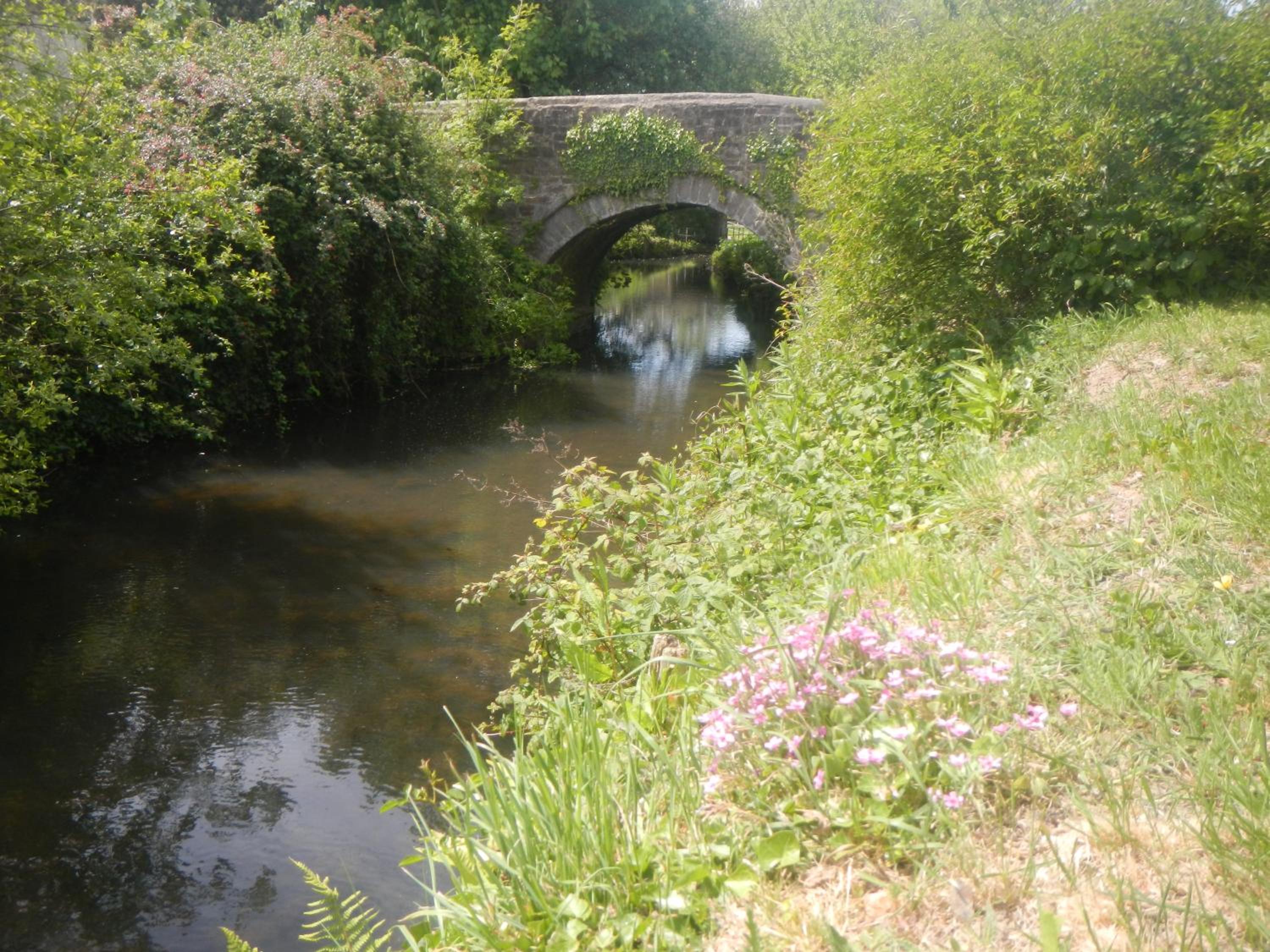 Bude Vacations - Boots Cottage - Property Image 5