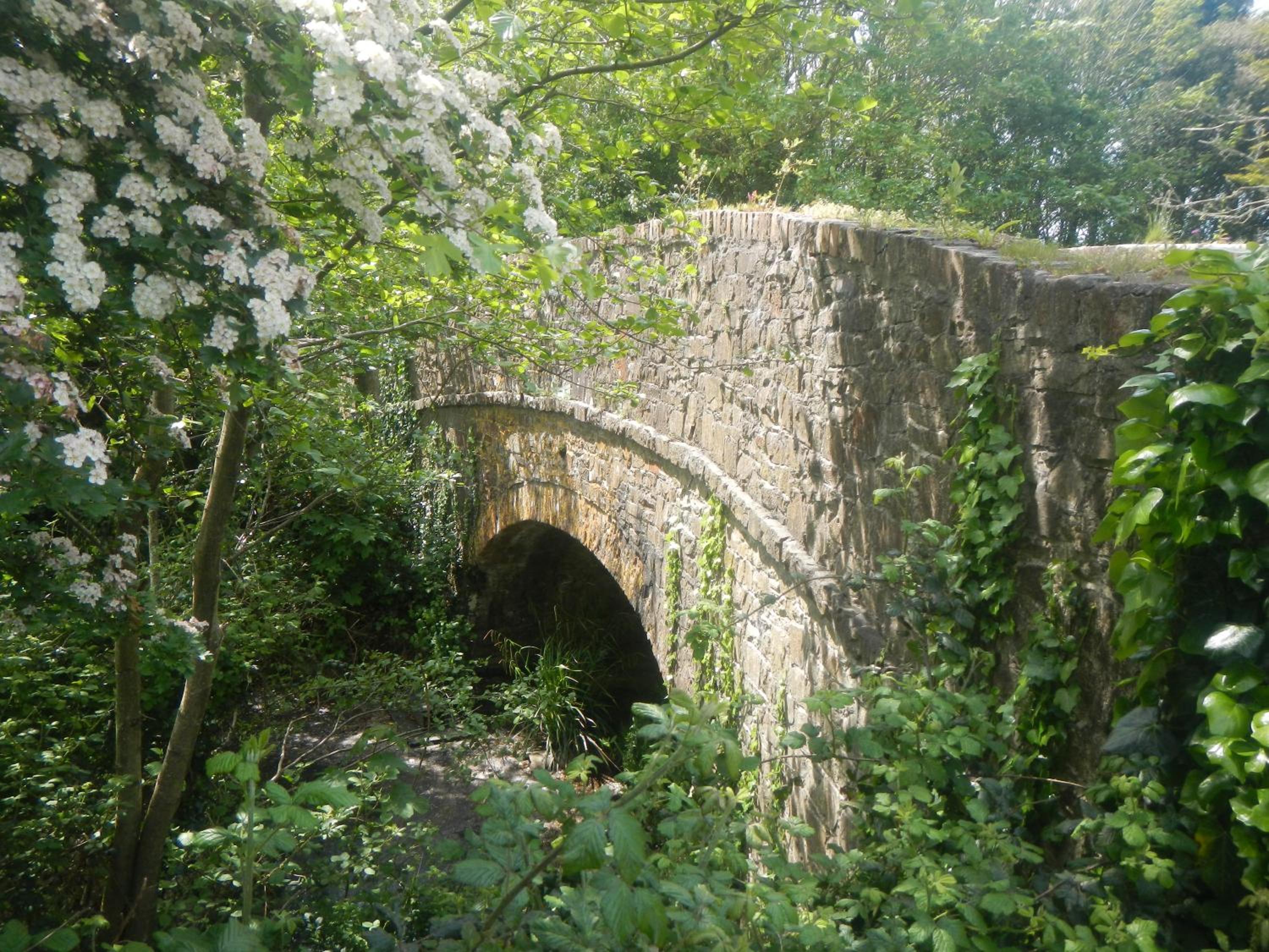 Bude Vacations - Boots Cottage - Property Image 4