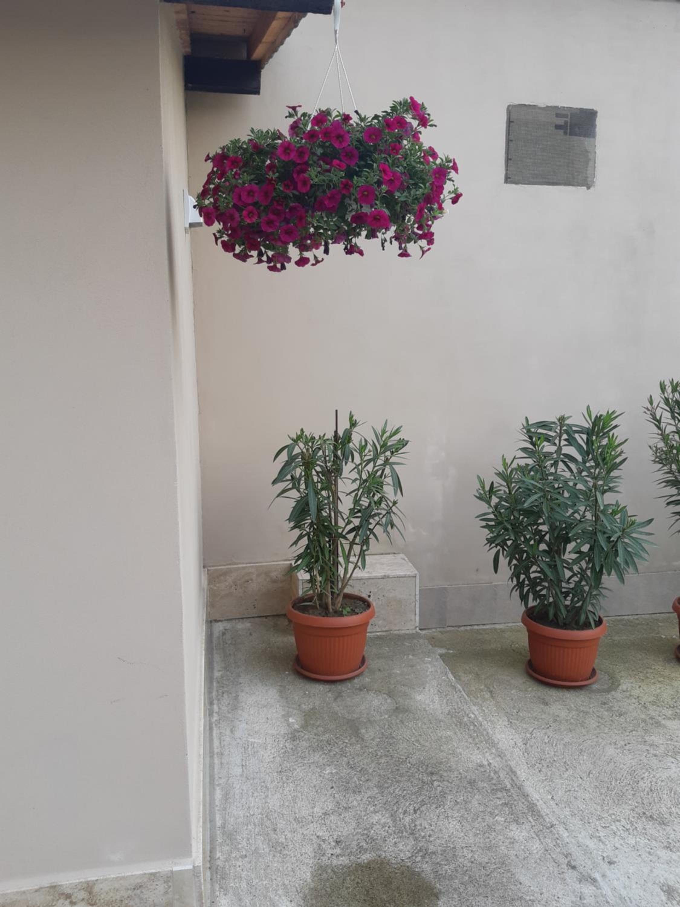 Villa Ros Guest House