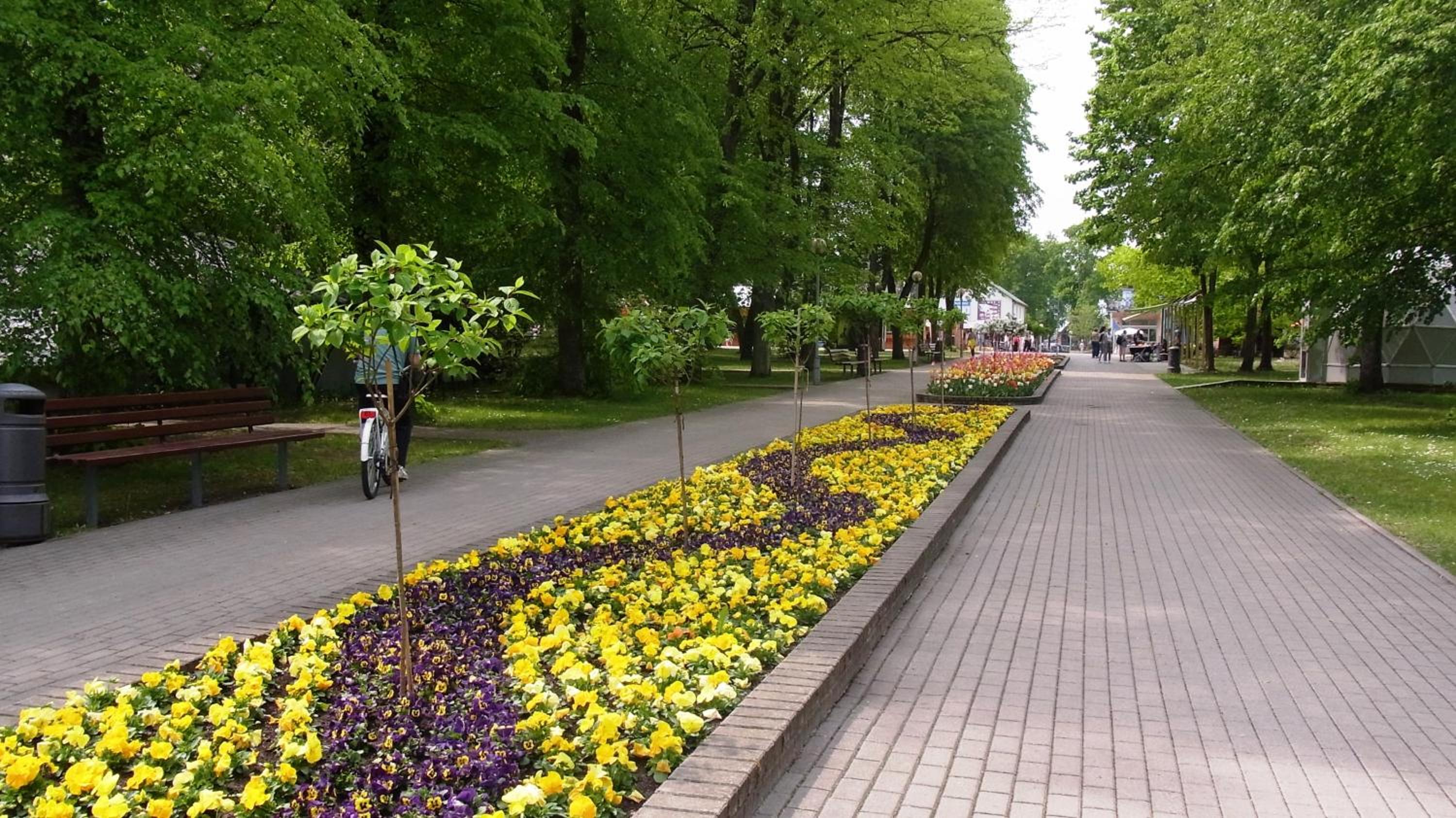 Photo 33