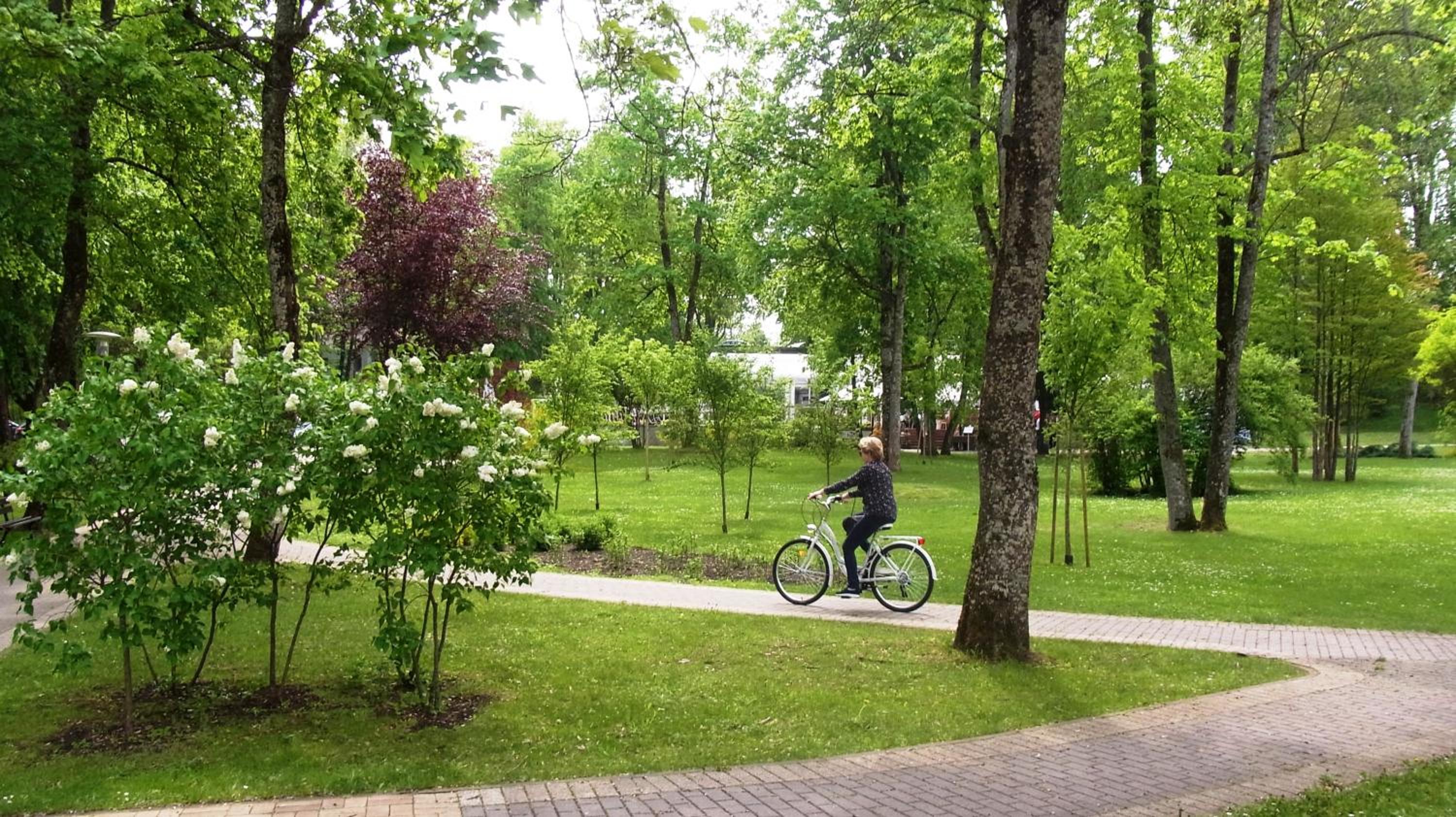 Photo 32