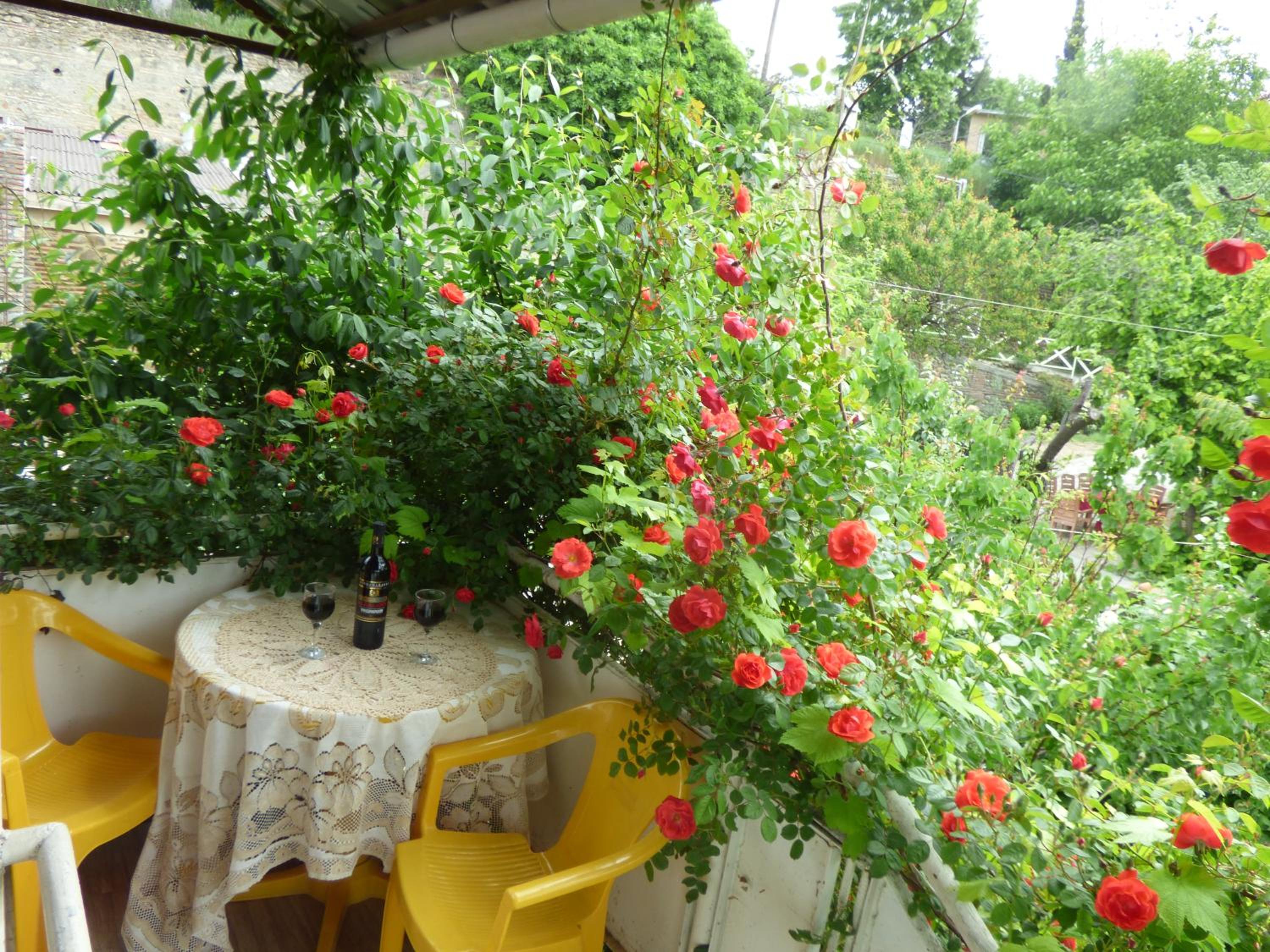 Photo 23