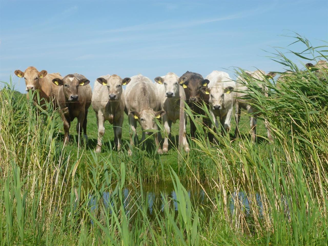 other
