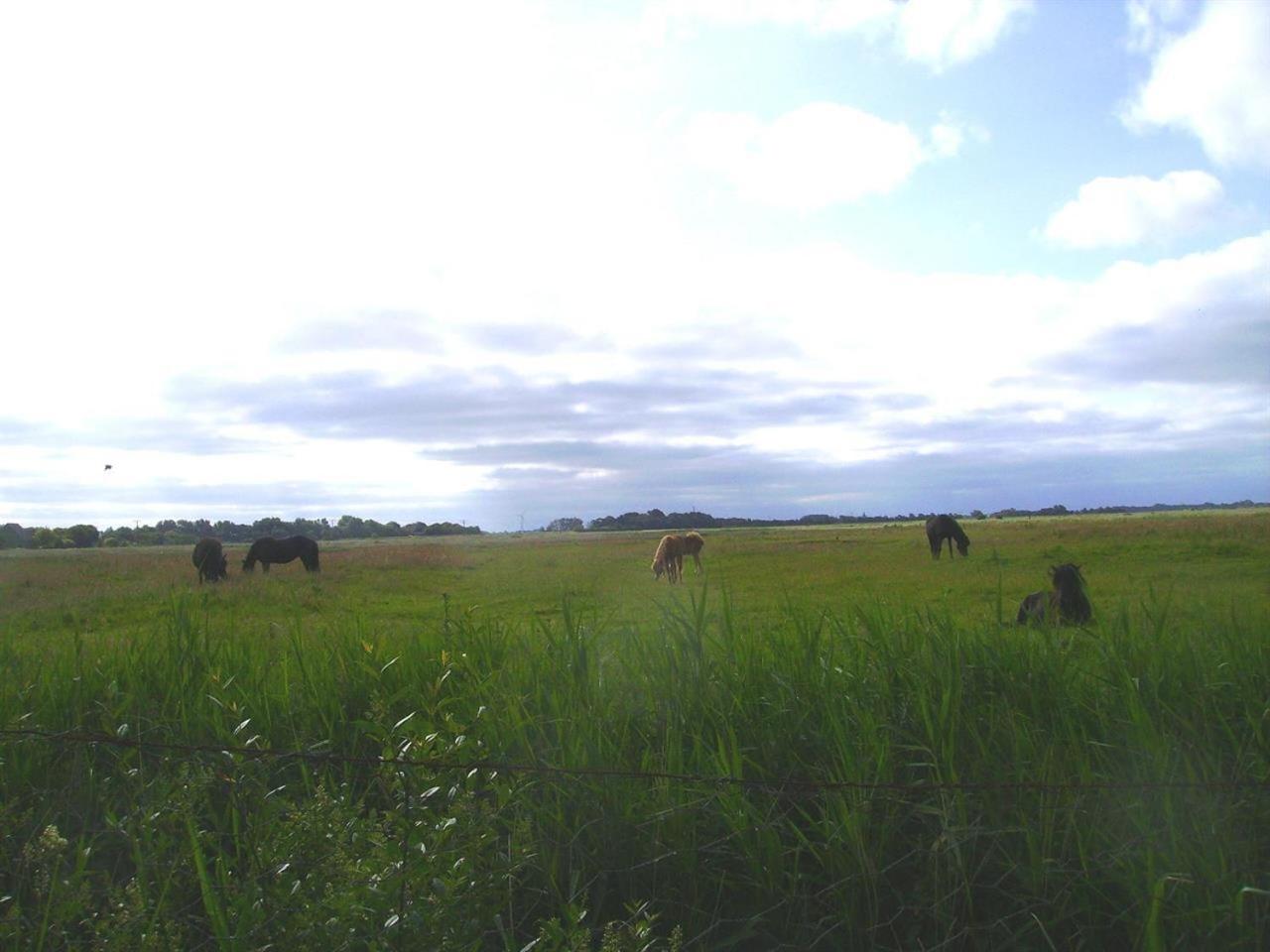 Ferienwohnung Lumme view 3