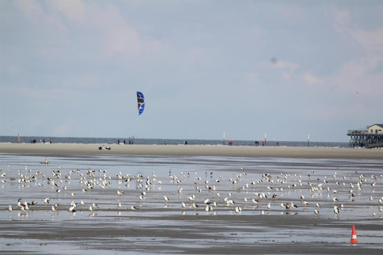Wolke 5 - Urlaub in der Parkwohnanlage Atlantic view 5