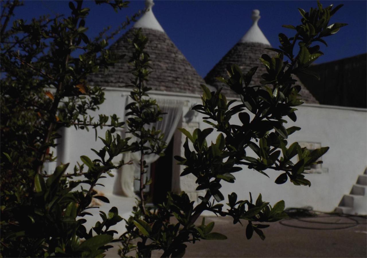 Photo 47