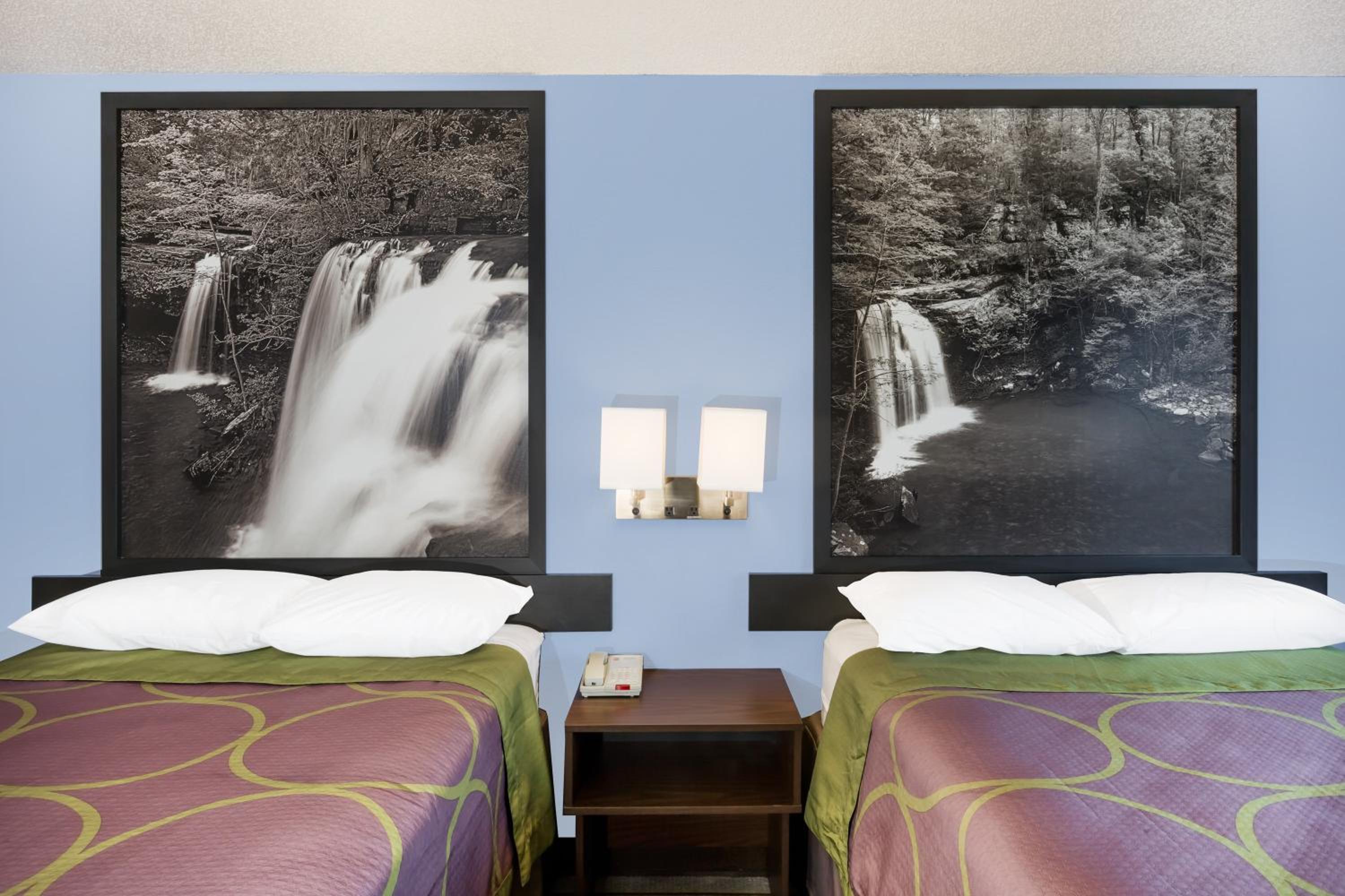 Jonesboro Vacations - Super 8 by Wyndham Jonesboro - Property Image 3