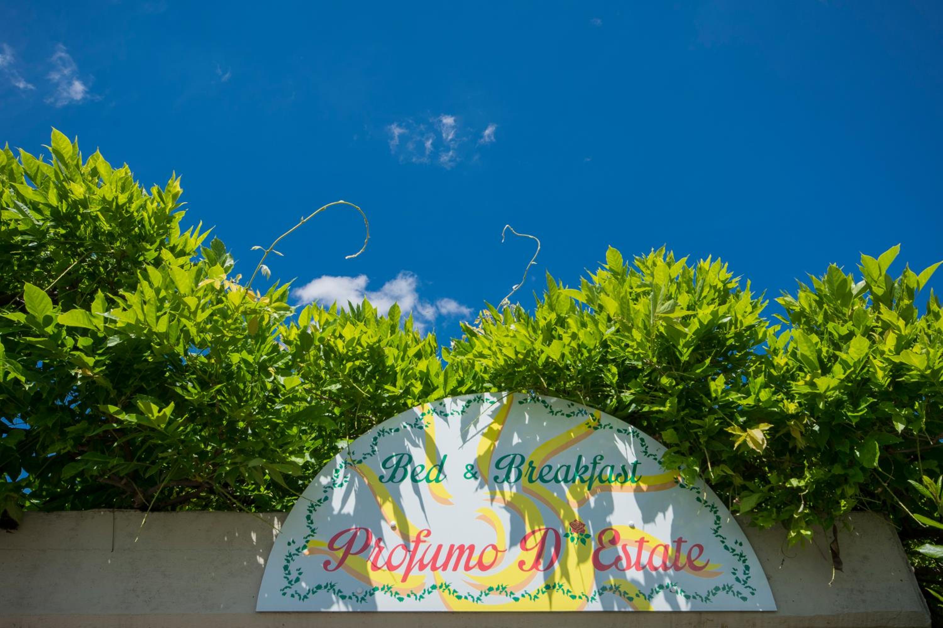 Bed & Breakfast Profumo D'Estate view 2